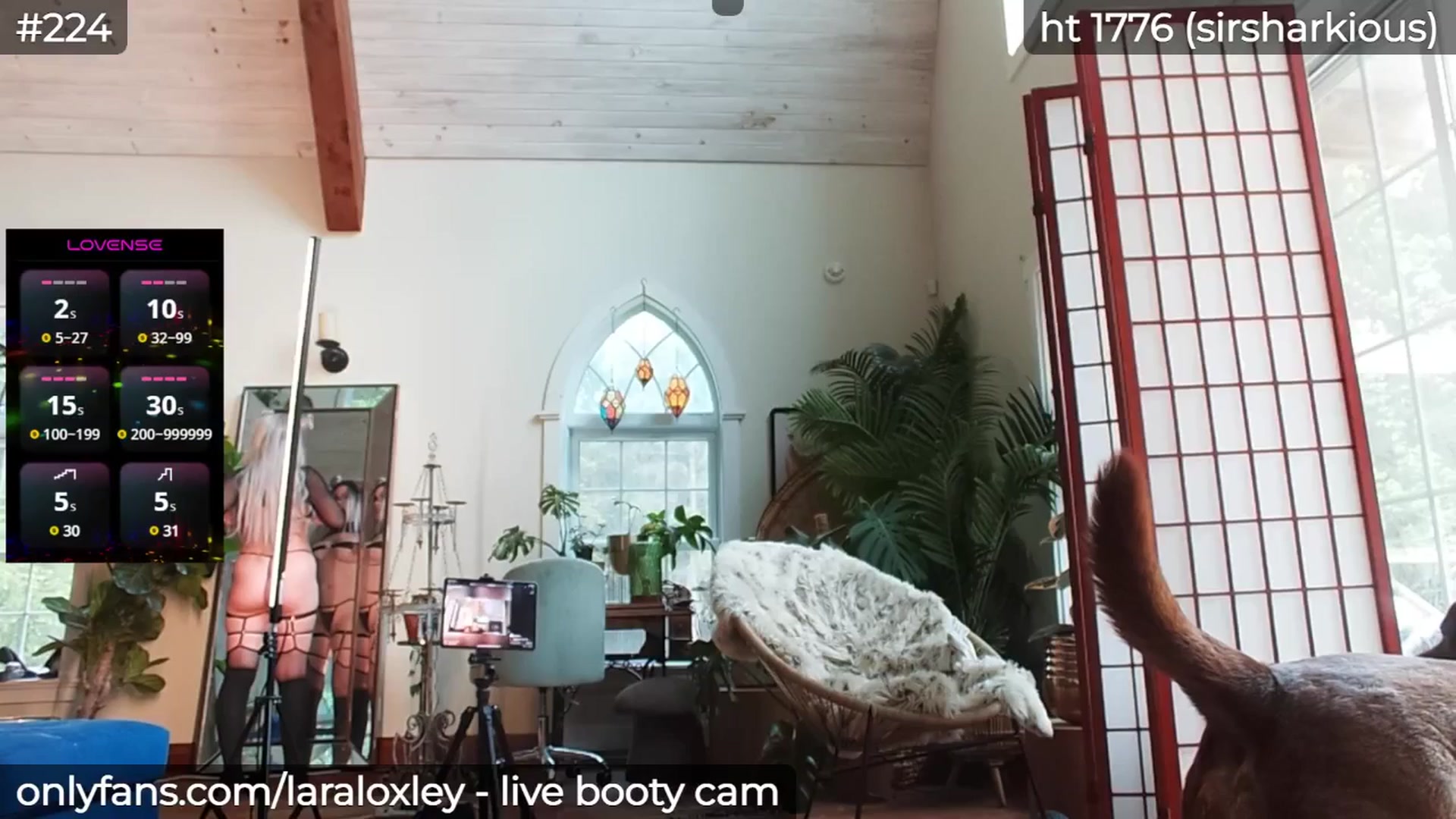 Gallery image thumbnail from LaraLoxley's myfreecams stream on, 05/20/2025, 20:36 image 16 of 20
