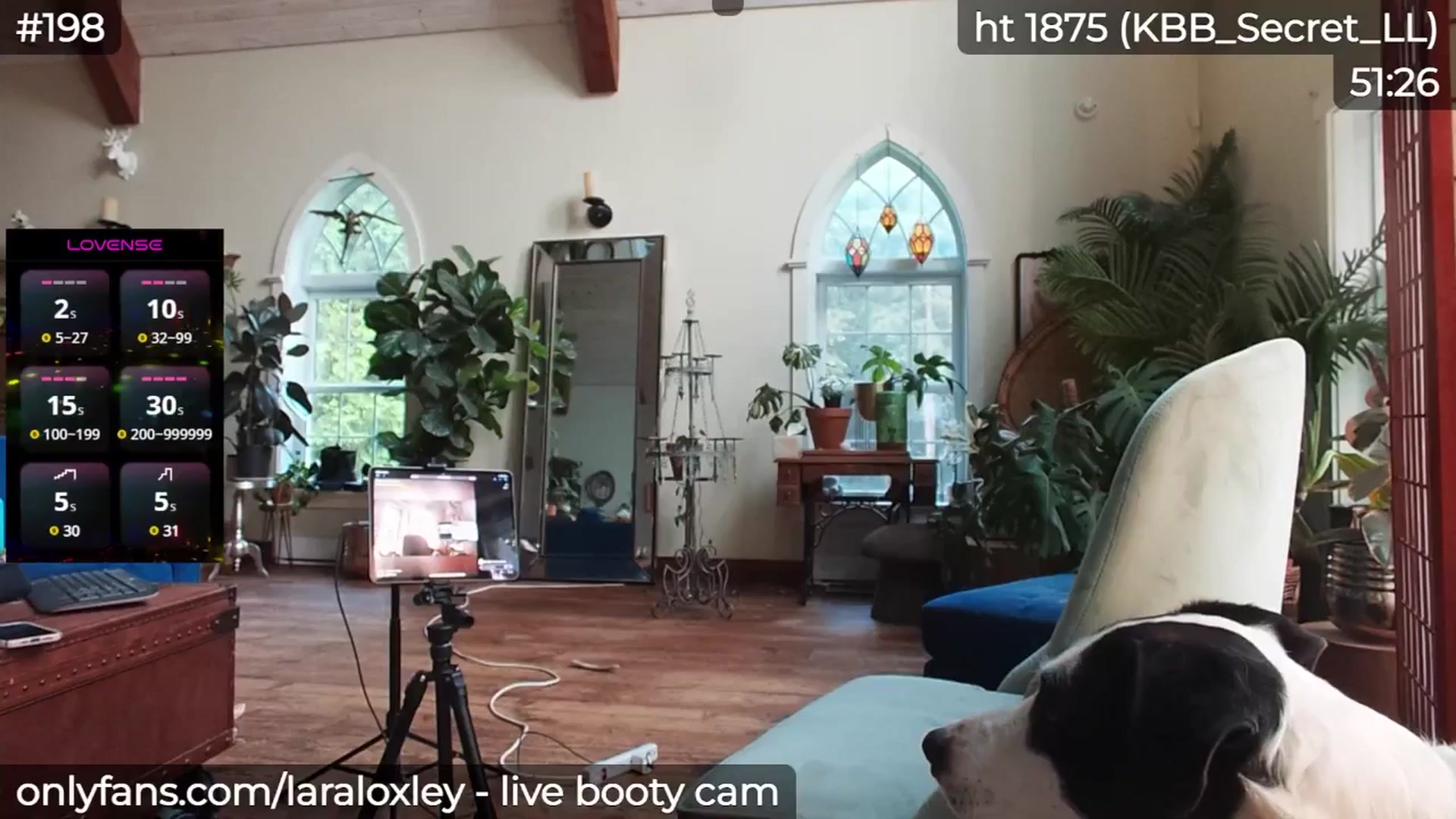 Gallery image thumbnail from LaraLoxley's myfreecams stream on, 06/03/2025, 23:55 image 12 of 20