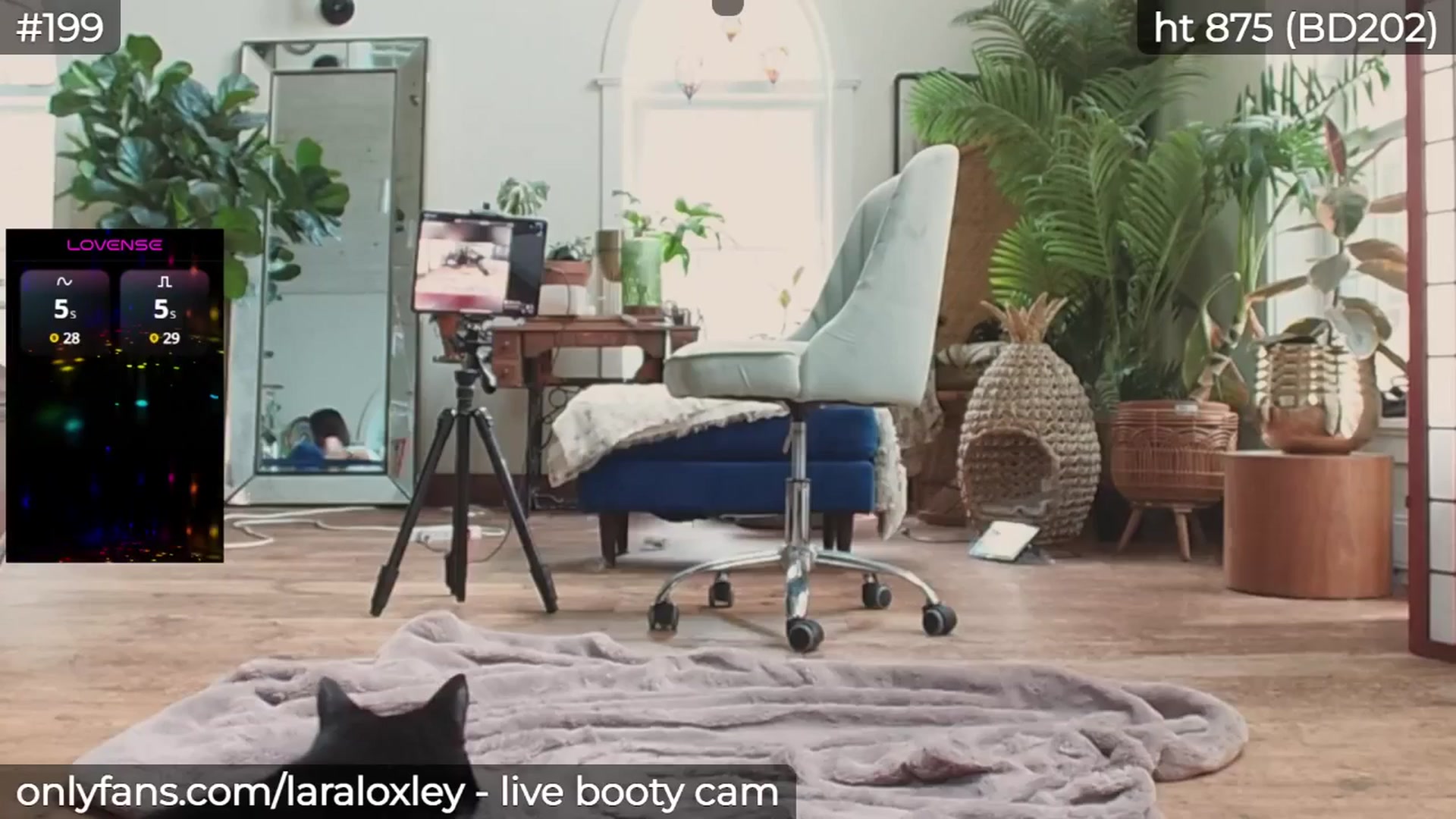 Gallery image thumbnail from LaraLoxley's myfreecams stream on, 06/20/2025, 16:03 image 18 of 20