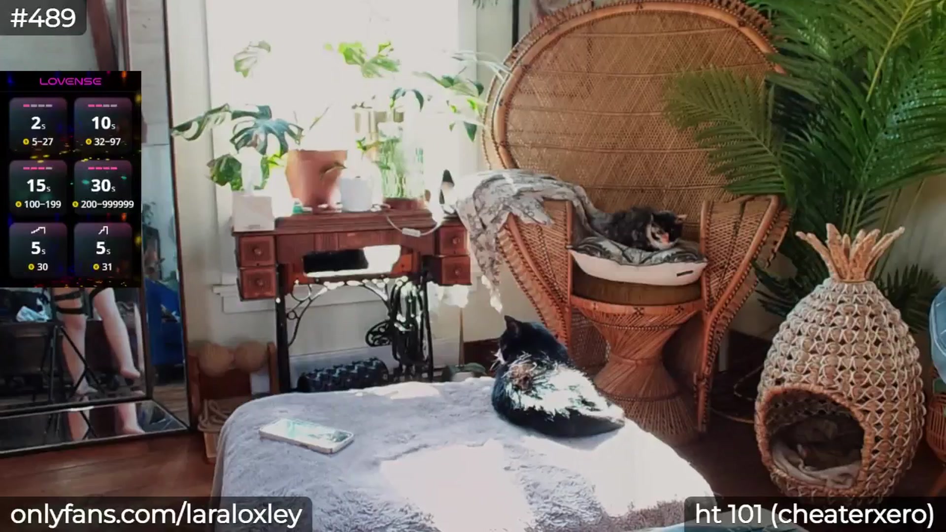 Gallery image thumbnail from LaraLoxley's myfreecams stream on, 10/06/2025, 15:49 image 15 of 20