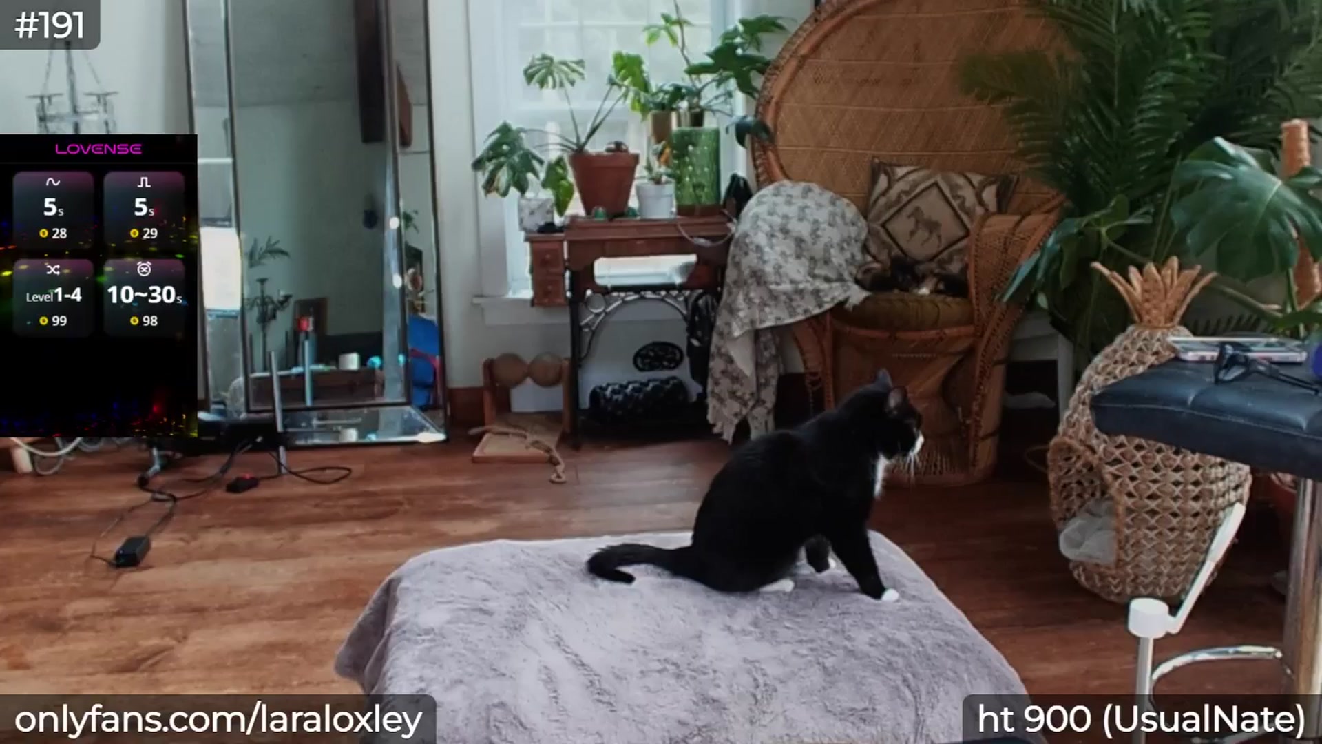 Gallery image thumbnail from LaraLoxley's myfreecams stream on, 11/05/2025, 18:07 image 8 of 20