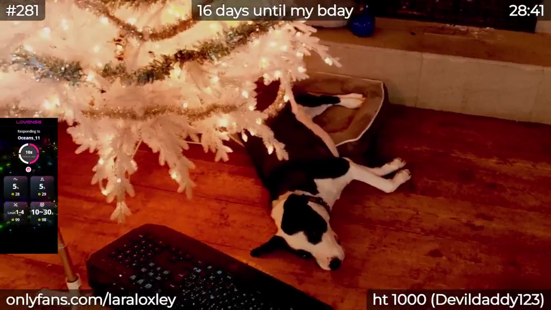 Gallery image thumbnail from LaraLoxley's myfreecams stream on, 02/10/2026, 22:41 image 20 of 20