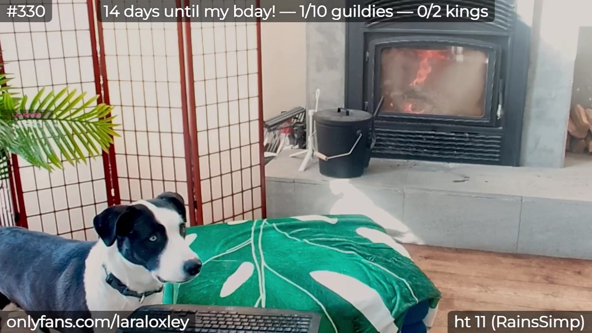 Gallery image thumbnail from LaraLoxley's myfreecams stream on, 02/14/2026, 22:41 image 1 of 20