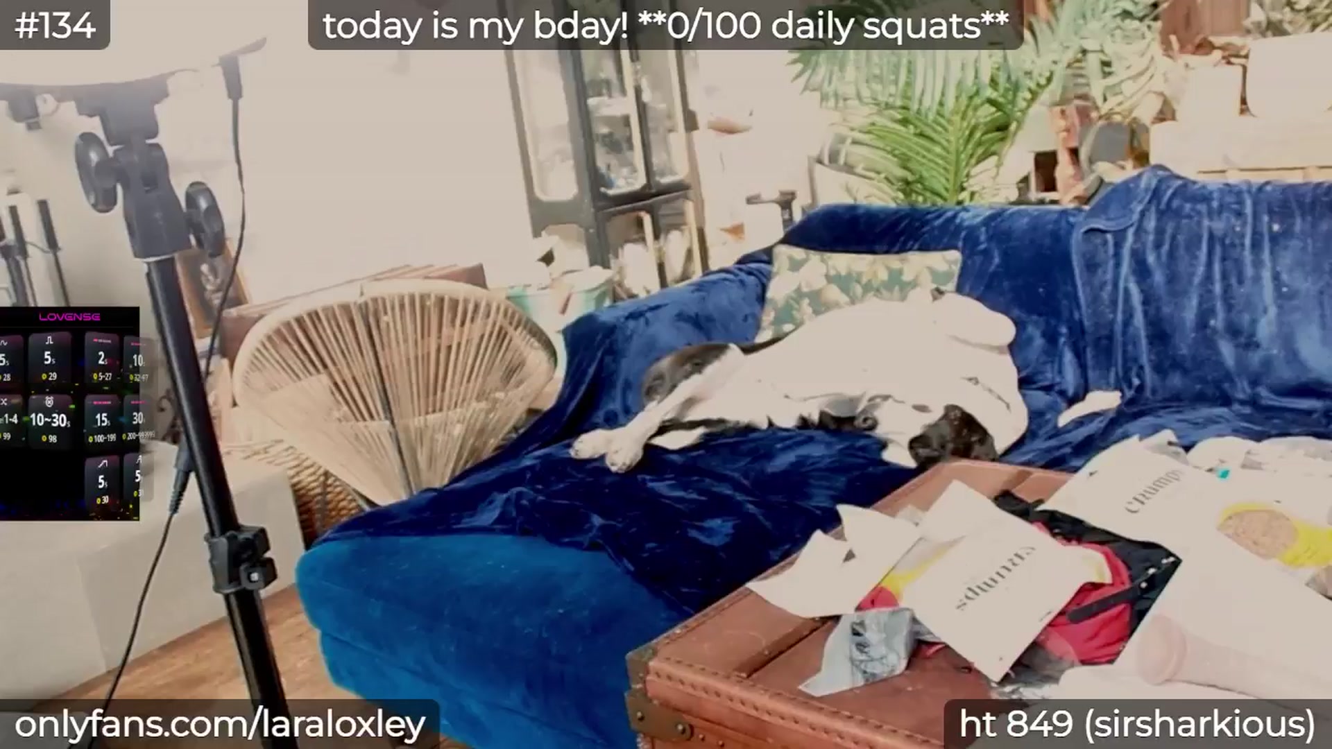 Gallery image thumbnail from LaraLoxley's myfreecams stream on, 02/26/2026, 19:57 image 15 of 20