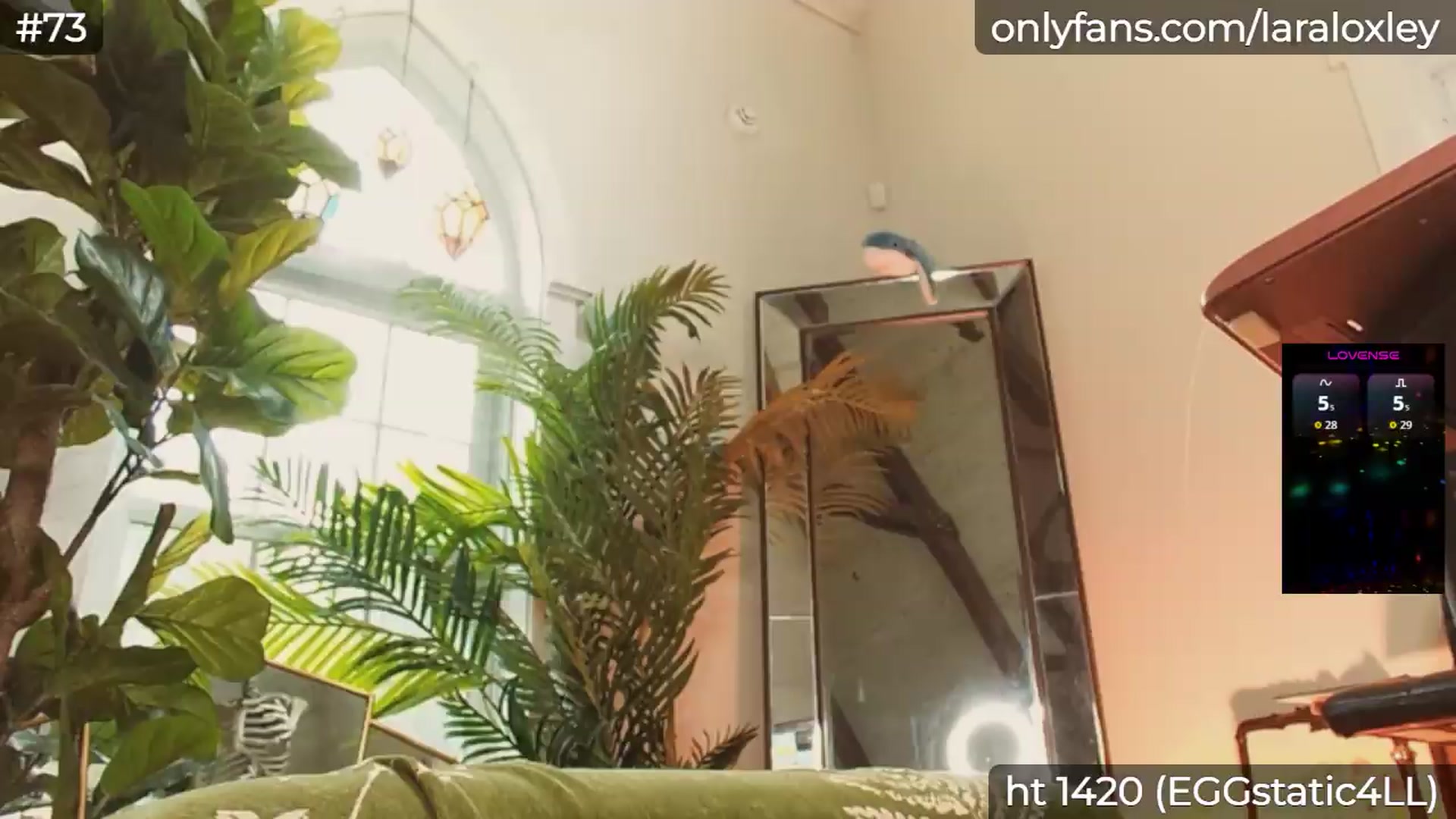 Gallery image thumbnail from LaraLoxley's myfreecams stream on, 08/01/2026, 21:12 image 1 of 20