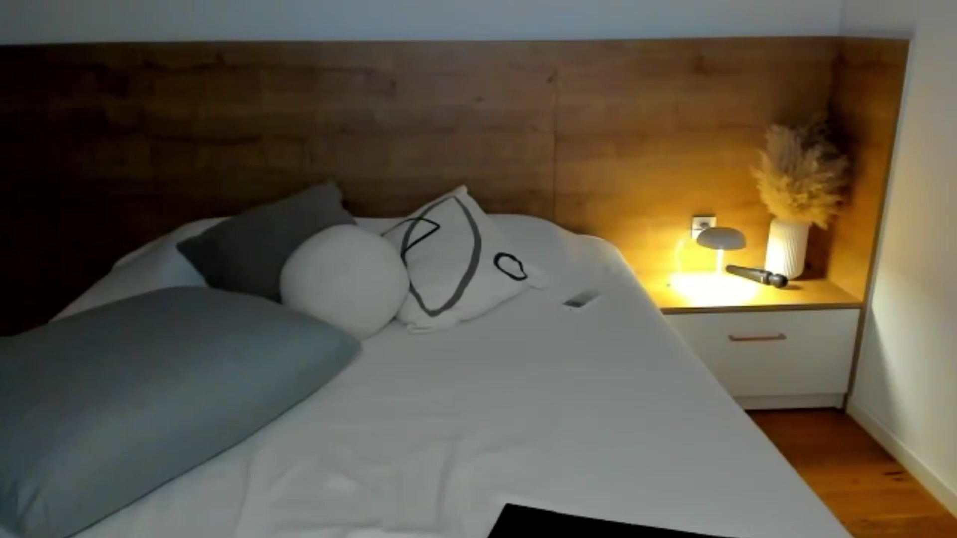 Gallery image thumbnail from Lara_xo's myfreecams stream on, 11/21/2024, 18:00 image 10 of 20