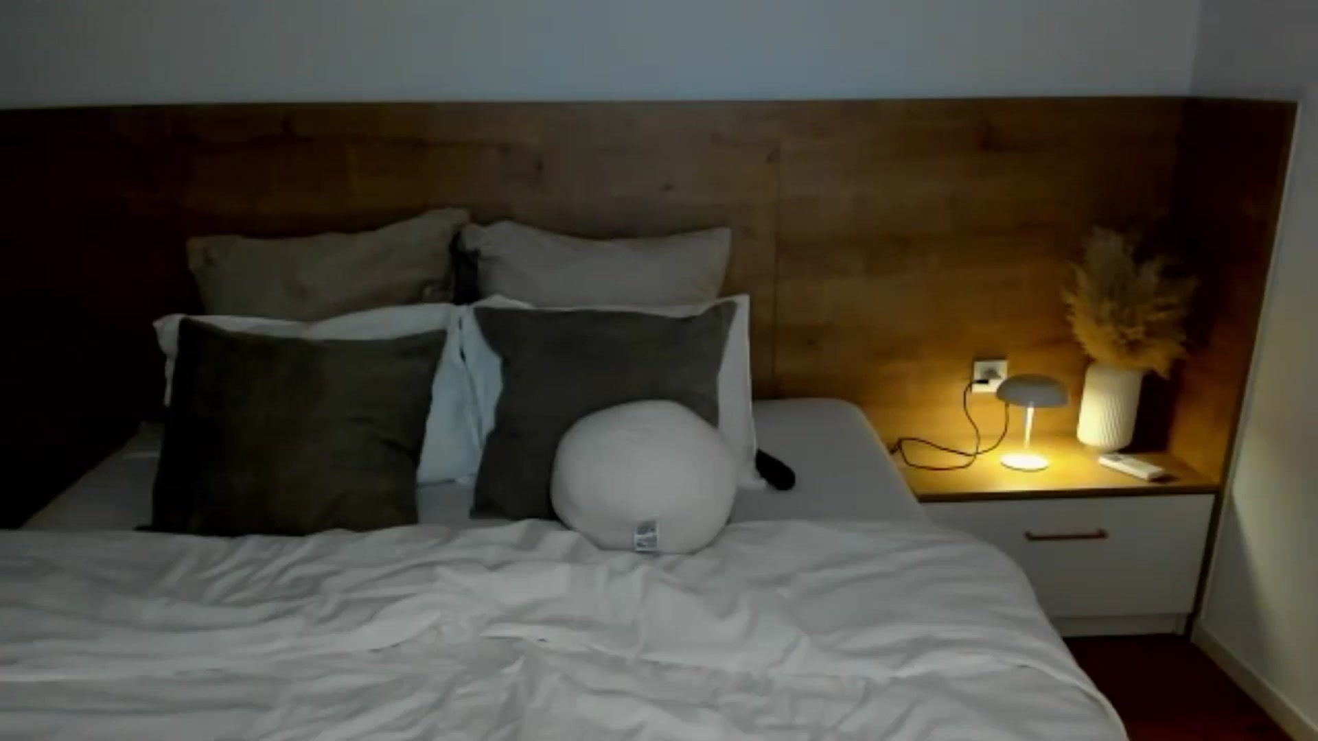 Gallery image thumbnail from Lara_xo's myfreecams stream on, 12/10/2024, 18:59 image 6 of 20