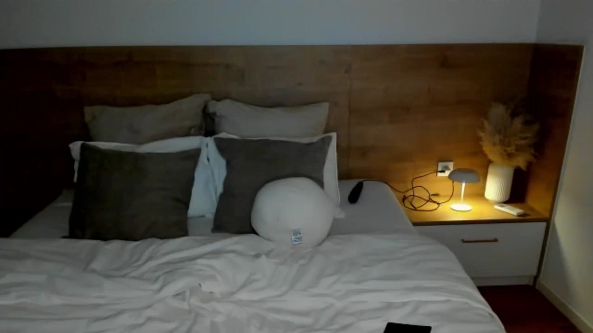 Gallery image thumbnail from Lara_xo's myfreecams stream on, 12/10/2024, 18:59 image 11 of 20