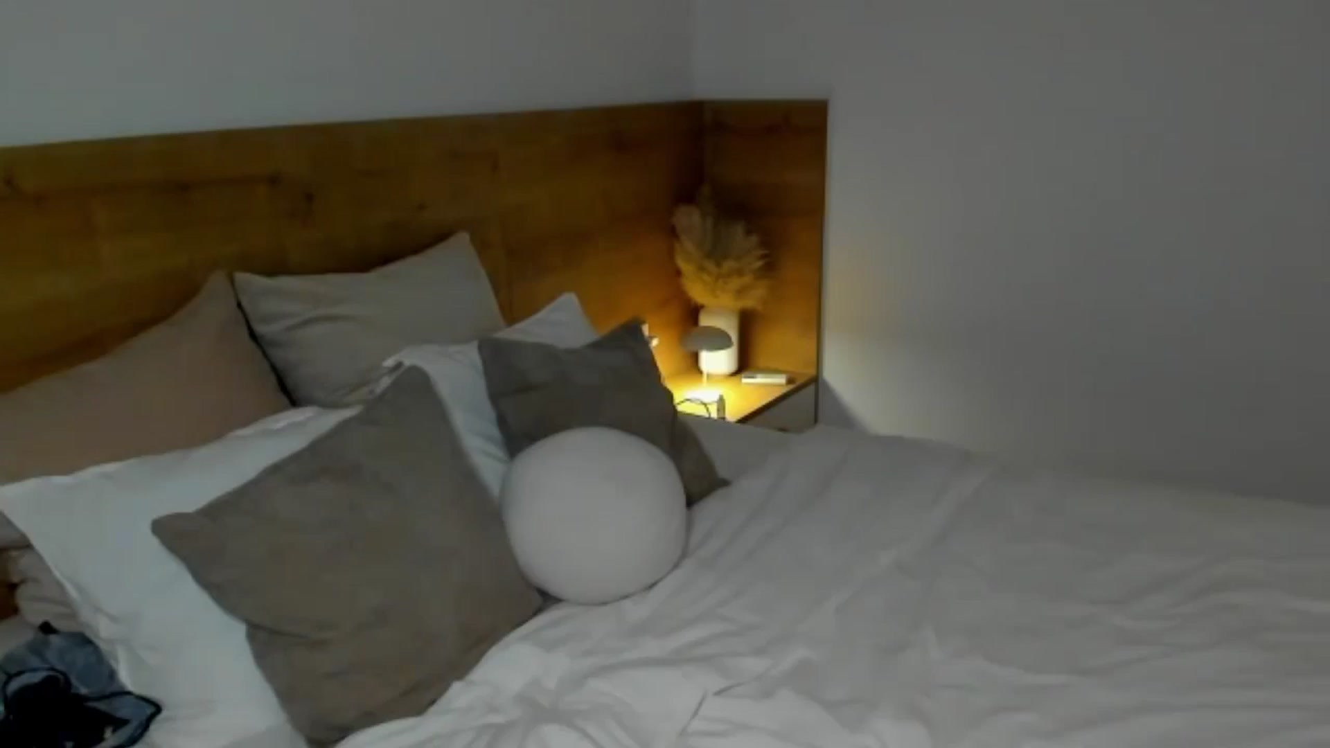 Gallery image thumbnail from Lara_xo's myfreecams stream on, 12/11/2024, 16:48 image 14 of 20