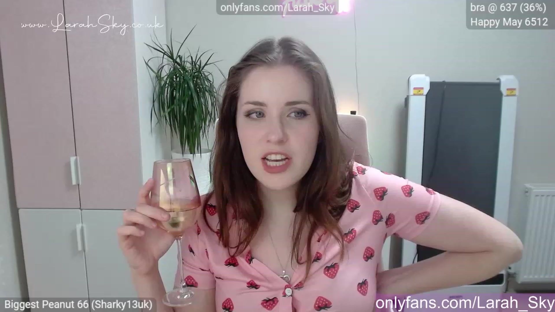 Gallery image thumbnail from Larah_Sky's myfreecams stream on, 05/31/2023, 23:37 image 12 of 20