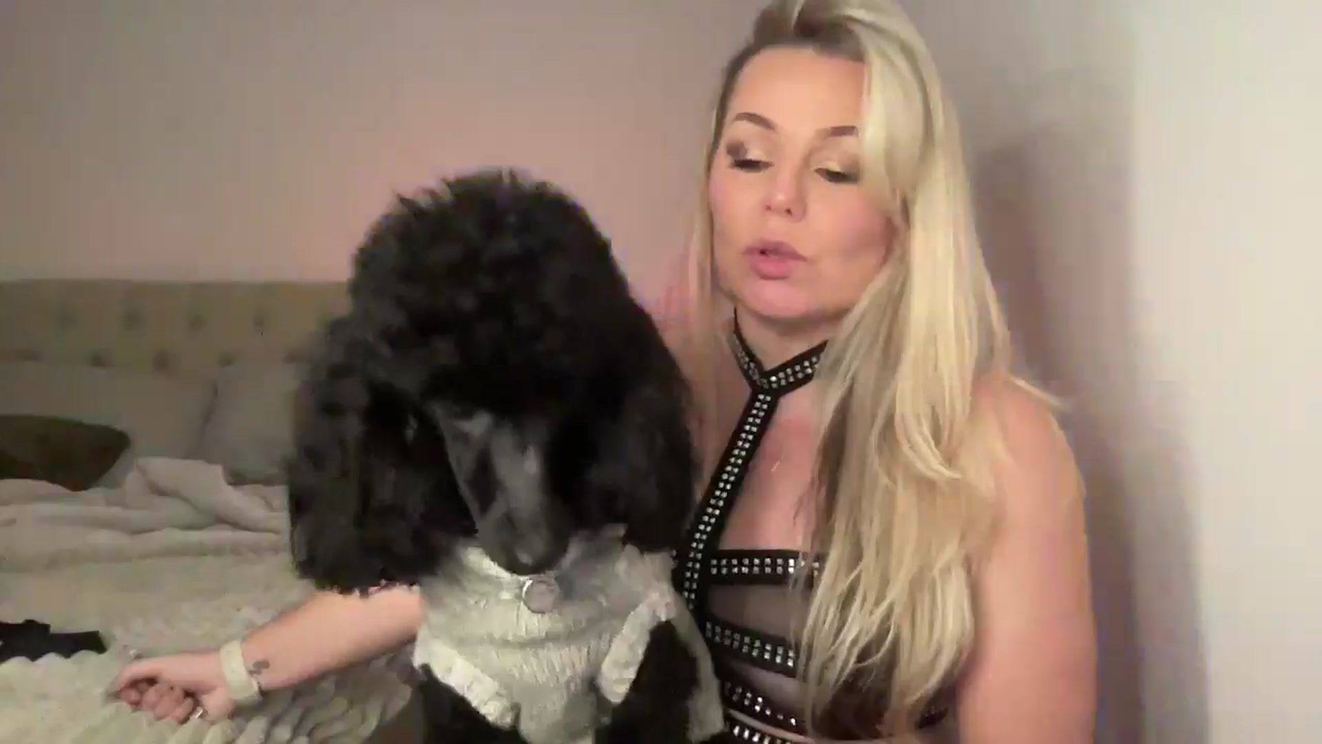 Gallery image thumbnail from LarasDen's myfreecams stream on, 12/06/2024, 23:46 image 13 of 20