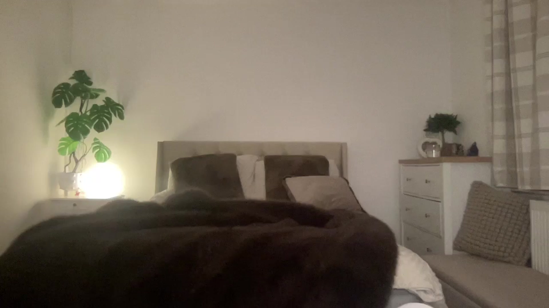 Gallery image thumbnail from LarasDen's myfreecams stream on, 04/05/2025, 02:10 image 19 of 20