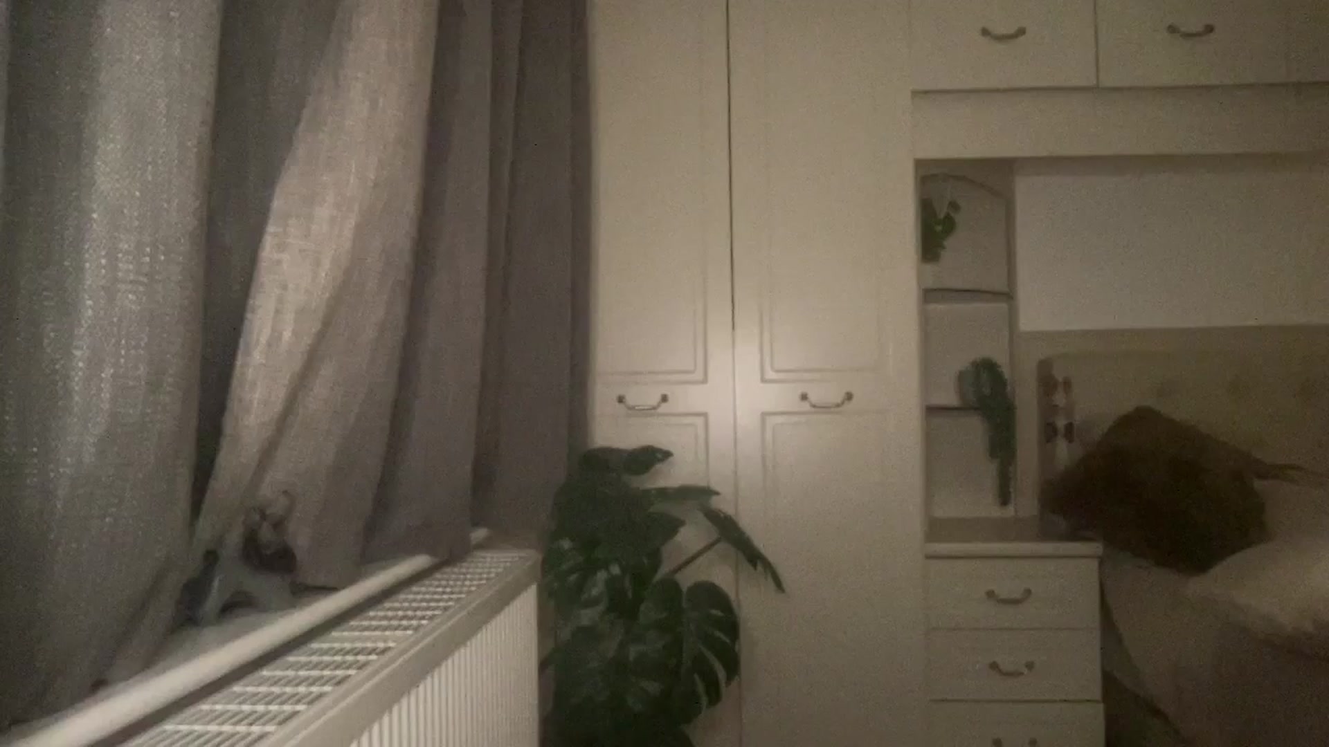 Gallery image thumbnail from LarasDen's myfreecams stream on, 11/21/2025, 23:09 image 4 of 20