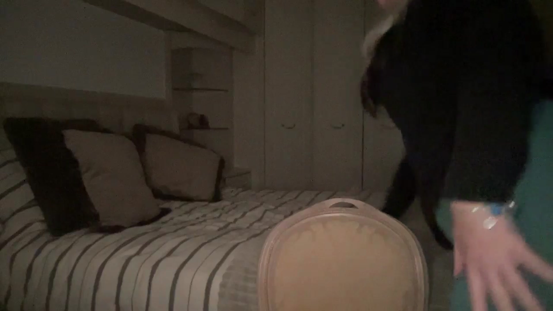 Gallery image thumbnail from LarasDen's myfreecams stream on, 12/01/2025, 20:13 image 18 of 20