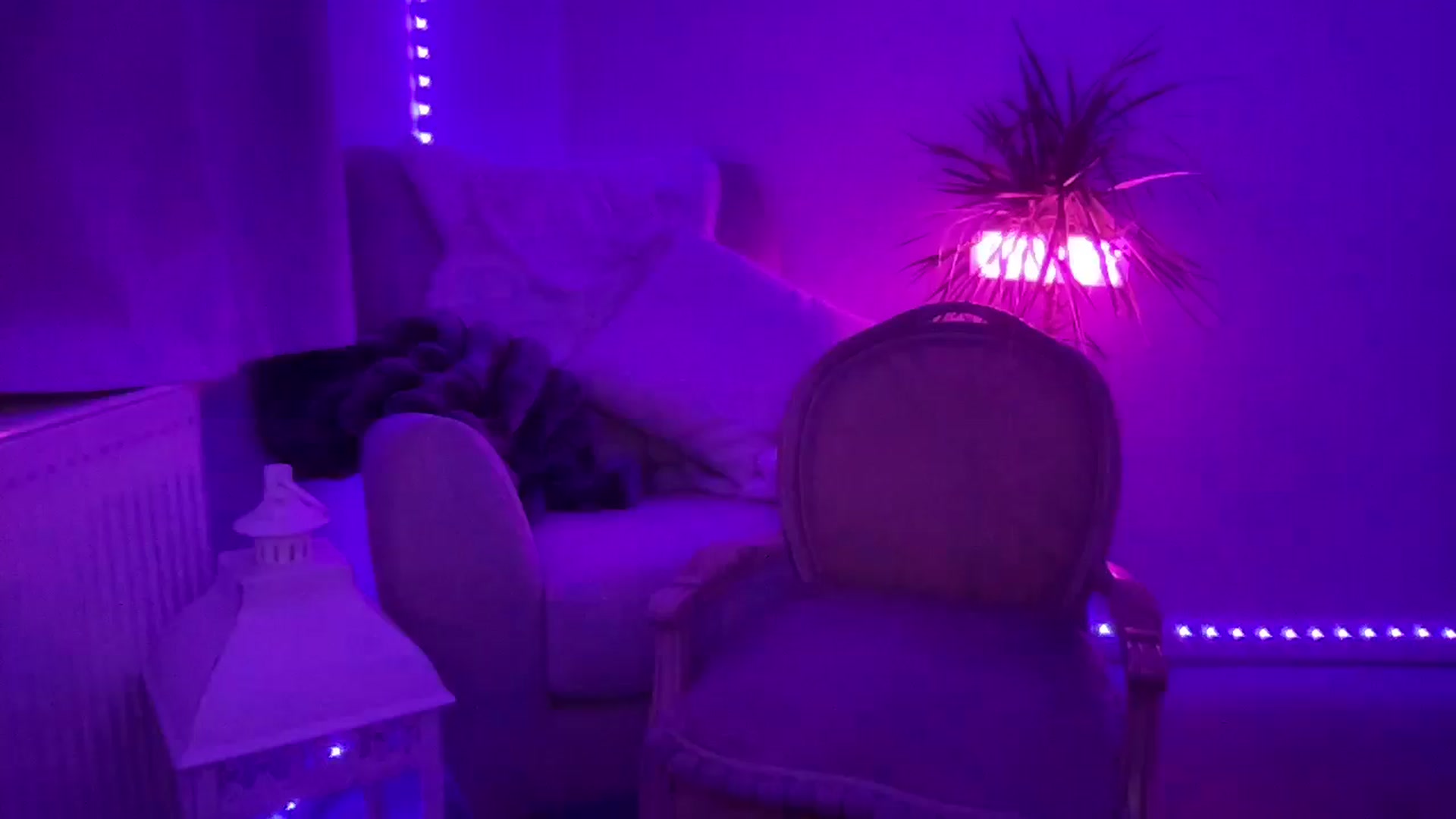 Gallery image thumbnail from LarasDen's myfreecams stream on, 02/14/2026, 24:01 image 2 of 20
