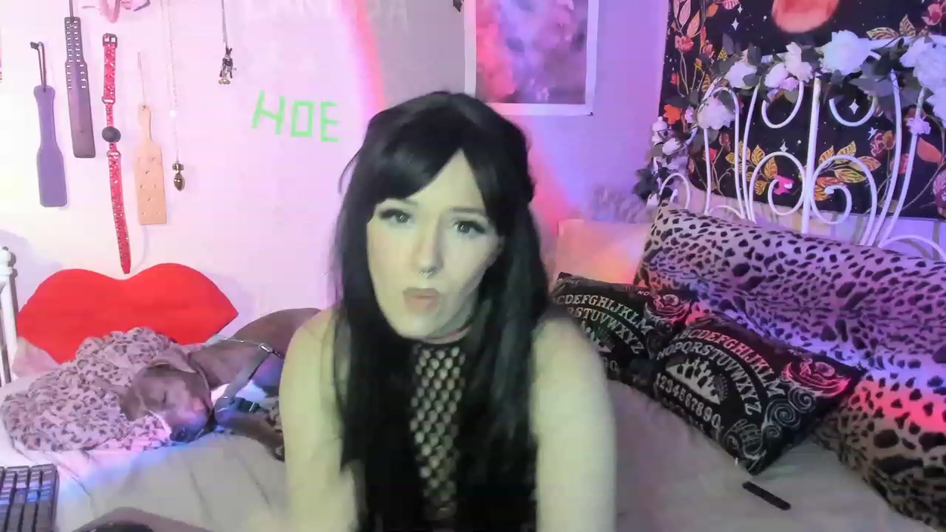 Gallery image thumbnail from LarissaLarson's myfreecams stream on, 11/24/2022, 06:53 image 19 of 20