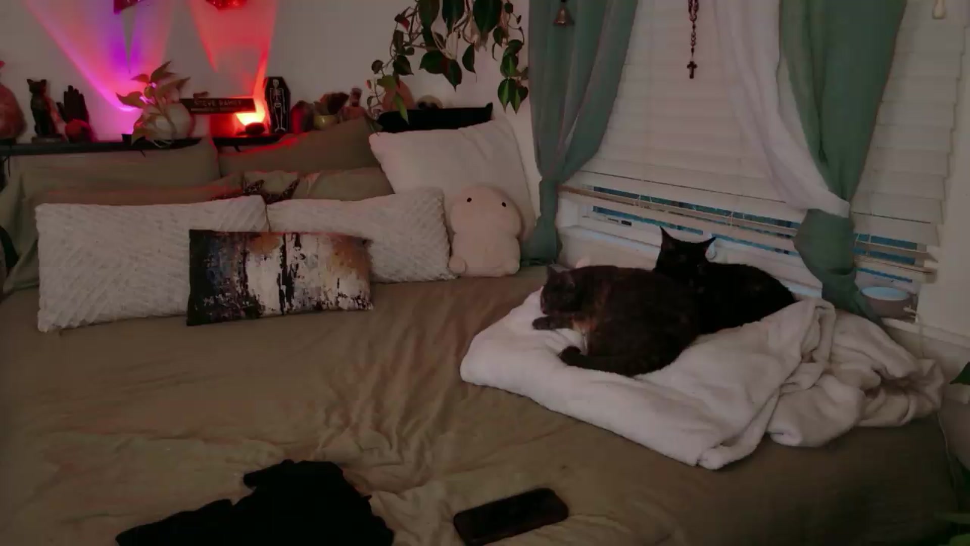 Gallery image thumbnail from LarissaLarson's myfreecams stream on, 06/24/2026, 04:10 image 17 of 20