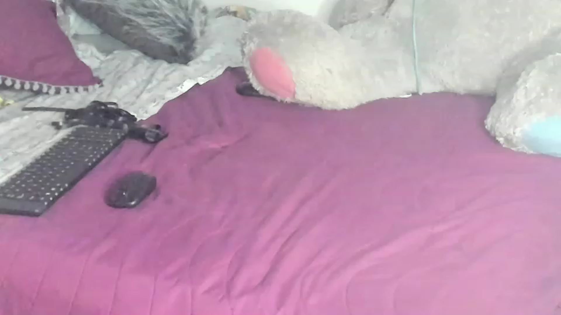 Gallery image thumbnail from Latinangel1_'s myfreecams stream on, 11/27/2022, 10:49 image 8 of 20
