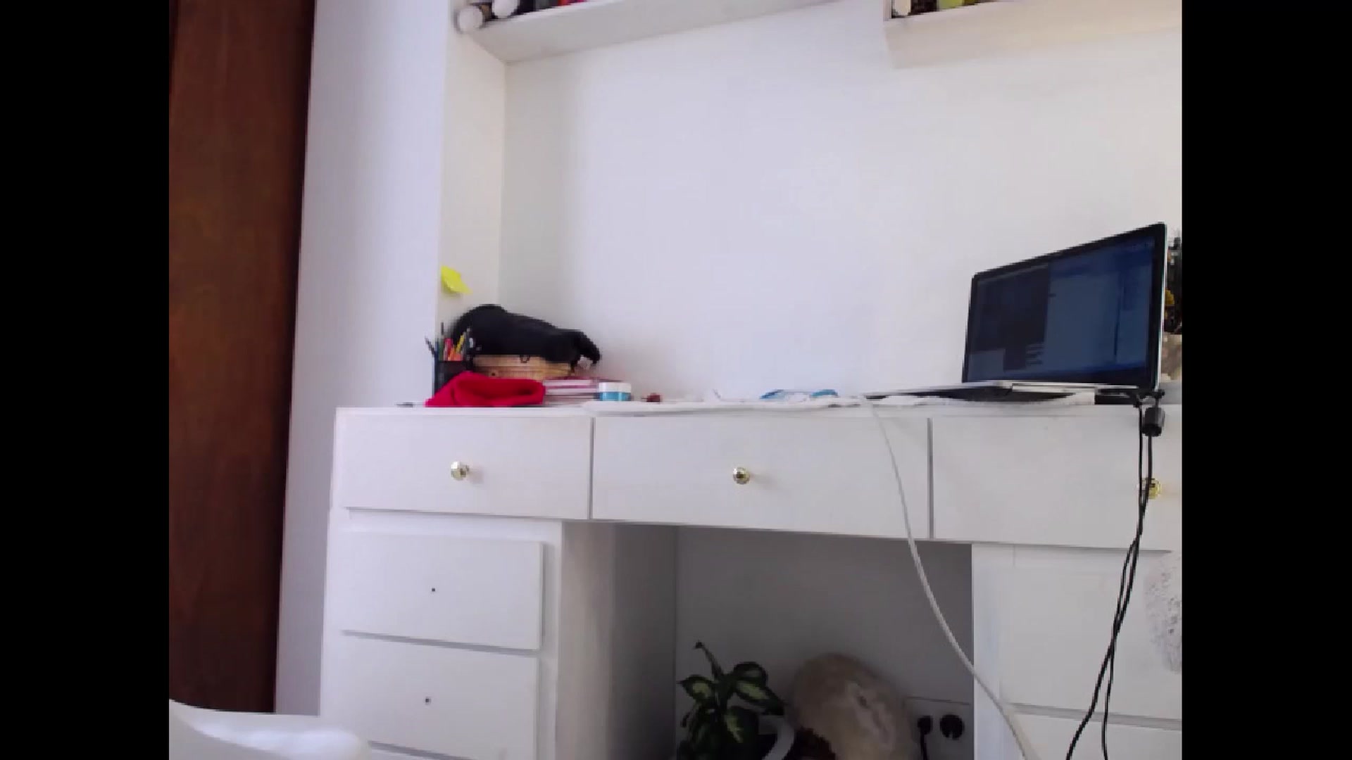 Gallery image thumbnail from Latinrico01's myfreecams stream on, 06/18/2023, 20:10 image 13 of 20