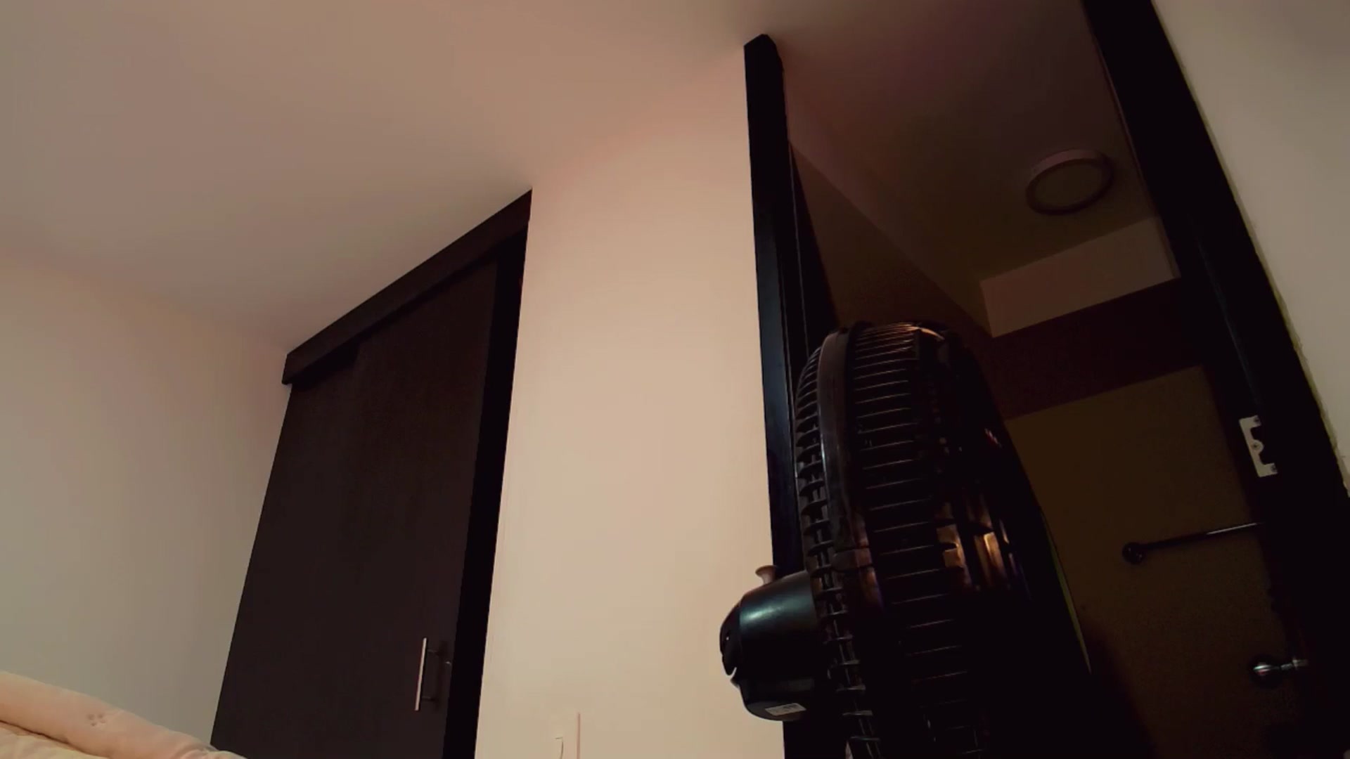 Gallery image thumbnail from LauraCrazzy's myfreecams stream on, 08/18/2025, 01:05 image 20 of 20