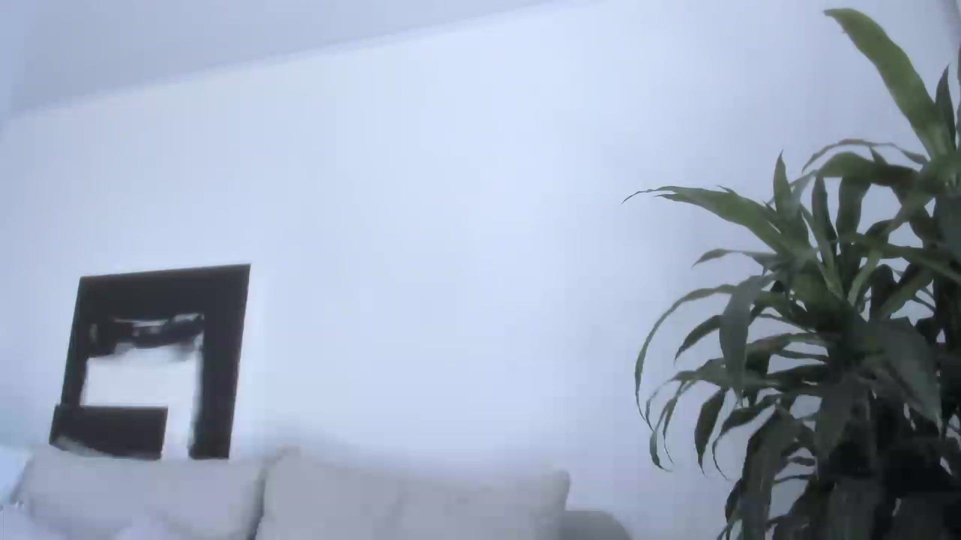 Gallery image thumbnail from LauraVega's myfreecams stream on, 05/19/2023, 17:40 image 11 of 20