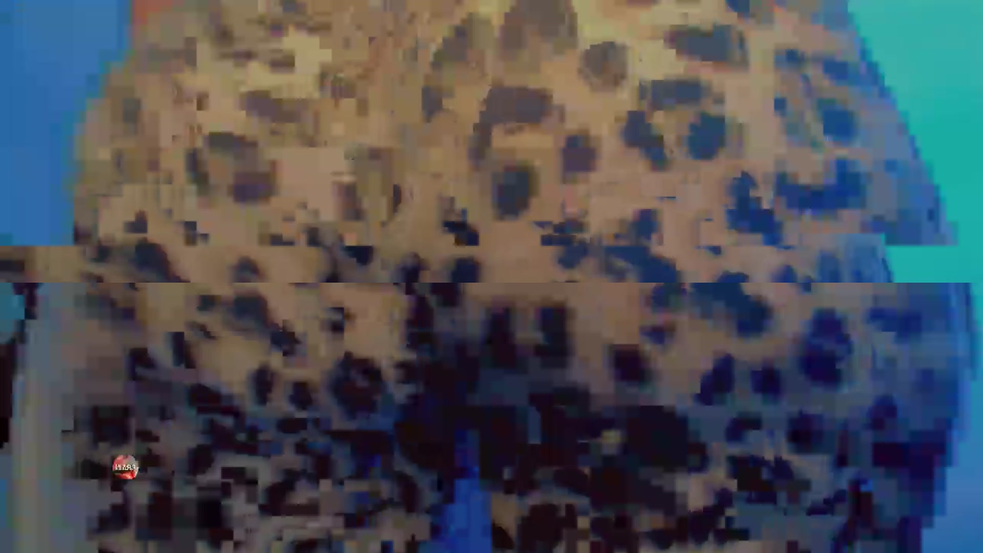 Gallery image thumbnail from LauraaYoung's myfreecams stream on, 09/15/2024, 16:36 image 18 of 20