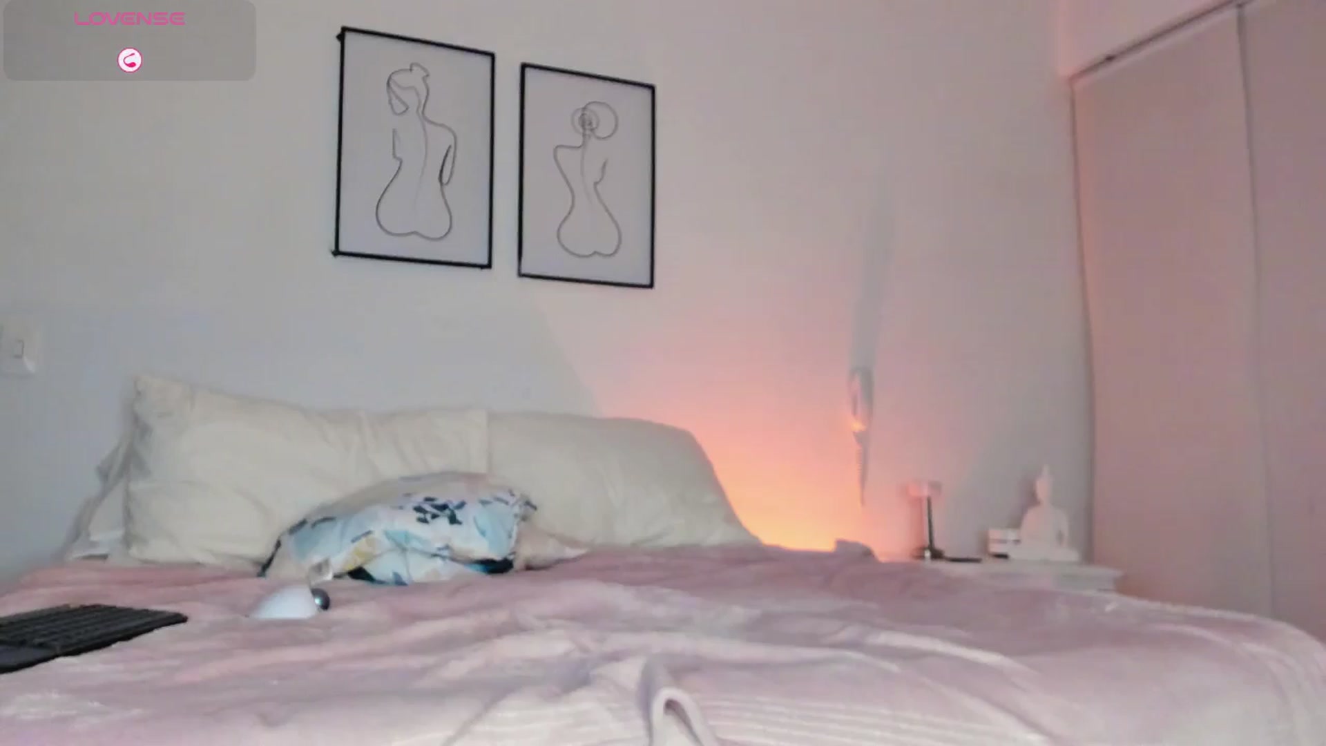 Gallery image thumbnail from Lauravall's myfreecams stream on, 11/17/2025, 05:12 image 12 of 20
