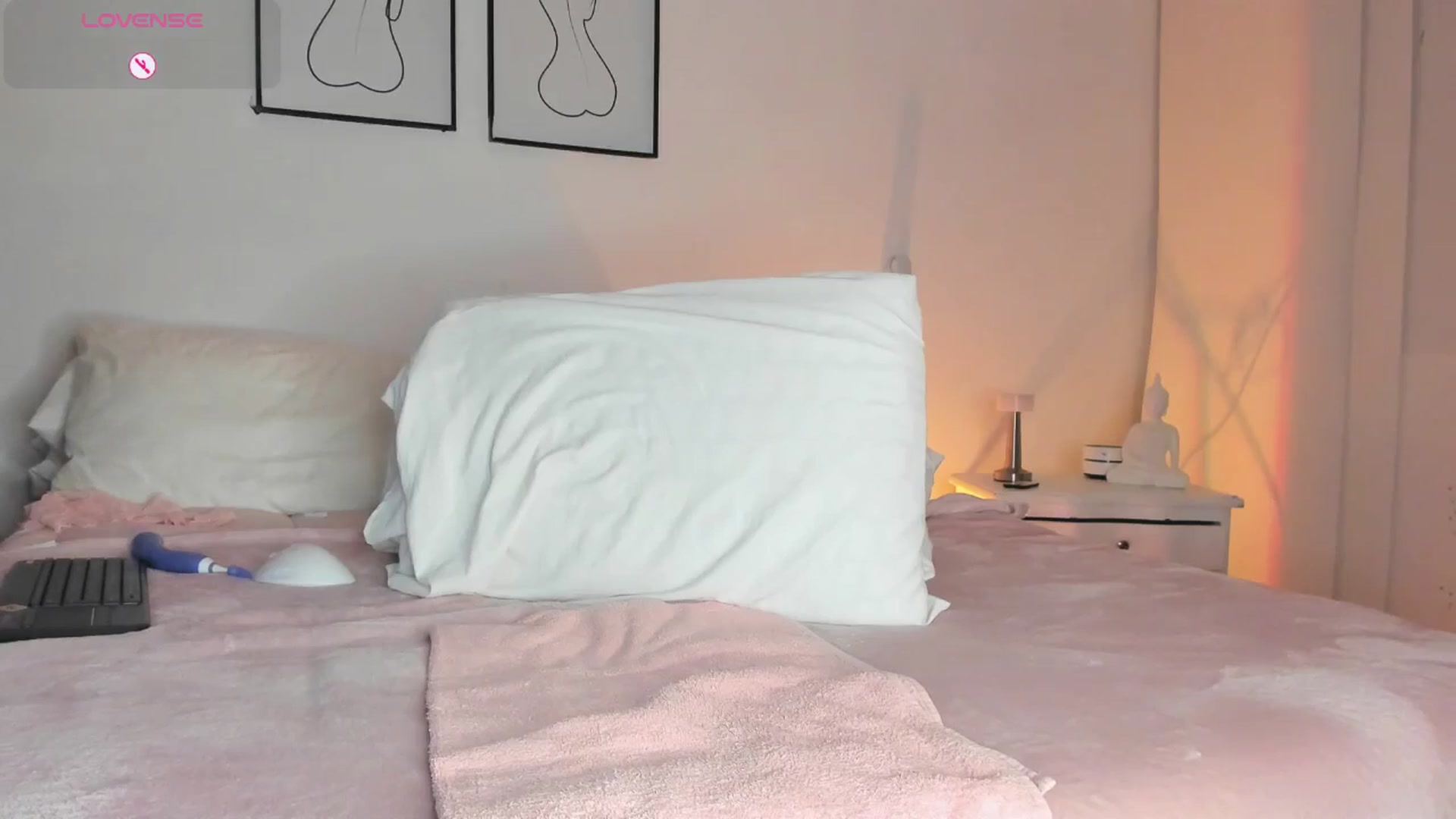 Gallery image thumbnail from Lauravall's myfreecams stream on, 11/21/2025, 11:04 image 3 of 20