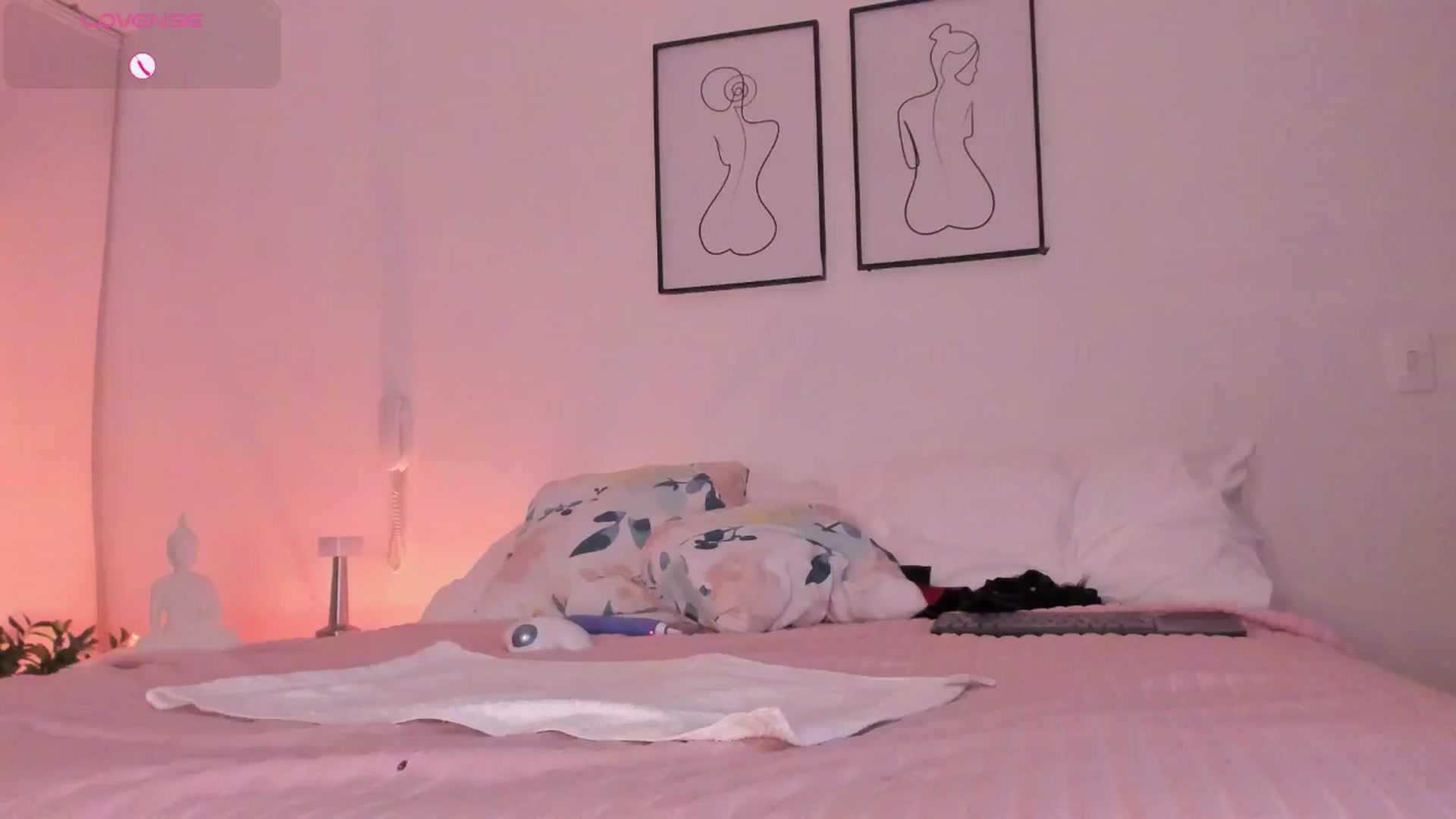 Gallery image thumbnail from Lauravall's myfreecams stream on, 03/26/2026, 07:09 image 13 of 20