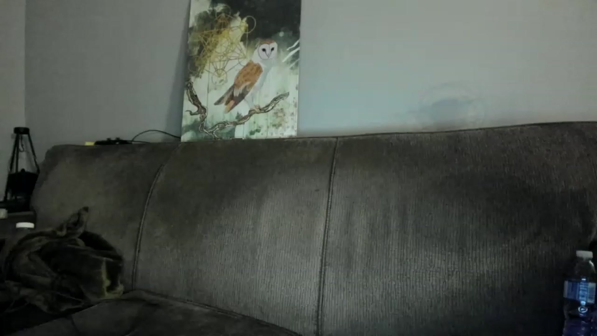 Gallery image thumbnail from Laurel's myfreecams stream on, 11/28/2022, 03:45 image 15 of 20