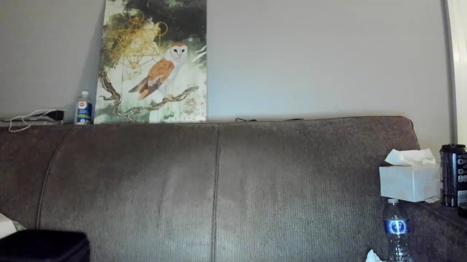 Gallery image thumbnail from Laurel's myfreecams stream on, 12/10/2022, 06:46 image 11 of 20