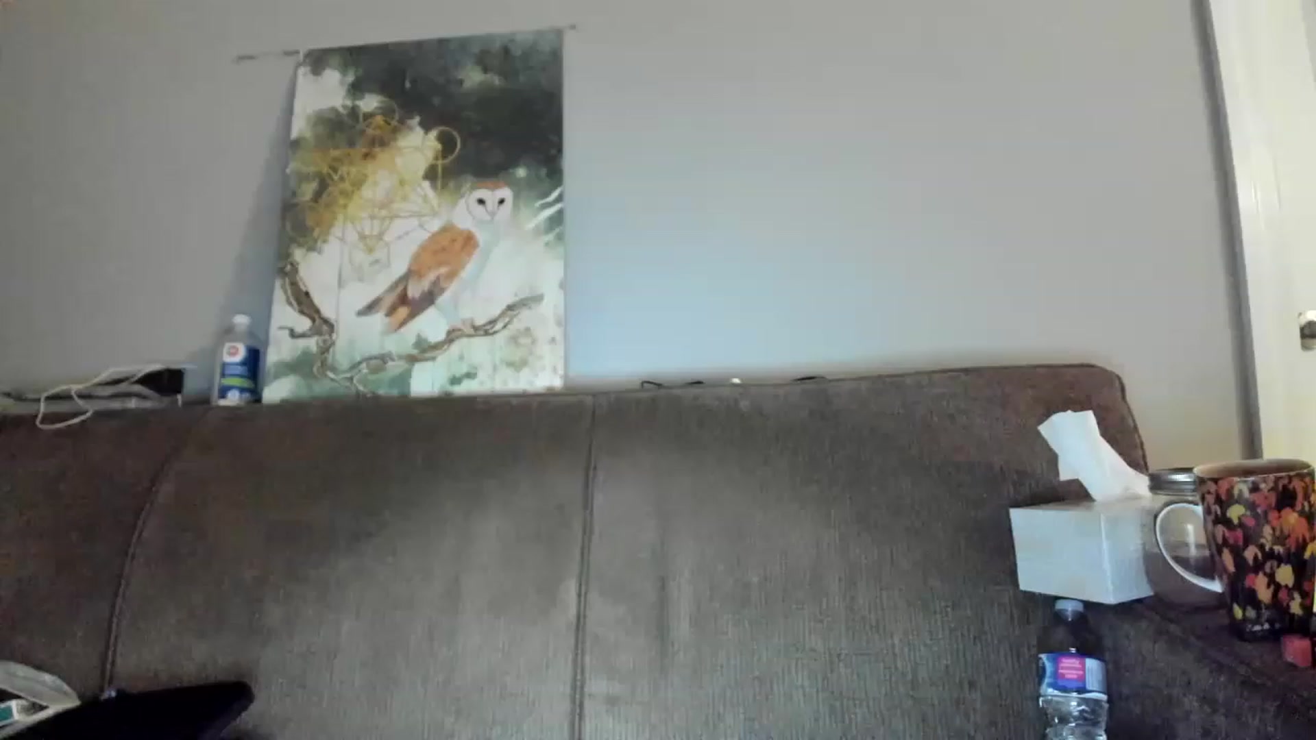 Gallery image thumbnail from Laurel's myfreecams stream on, 12/10/2022, 08:26 image 3 of 20