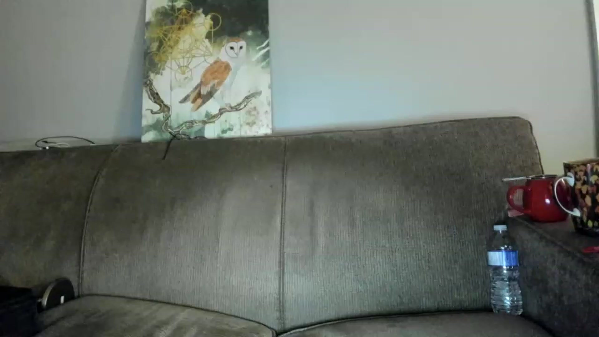 Gallery image thumbnail from Laurel's myfreecams stream on, 12/17/2022, 07:59 image 17 of 20