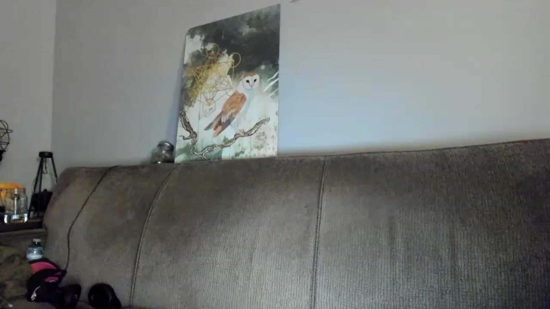 Gallery image thumbnail from Laurel's myfreecams stream on, 12/29/2022, 05:38 image 17 of 20