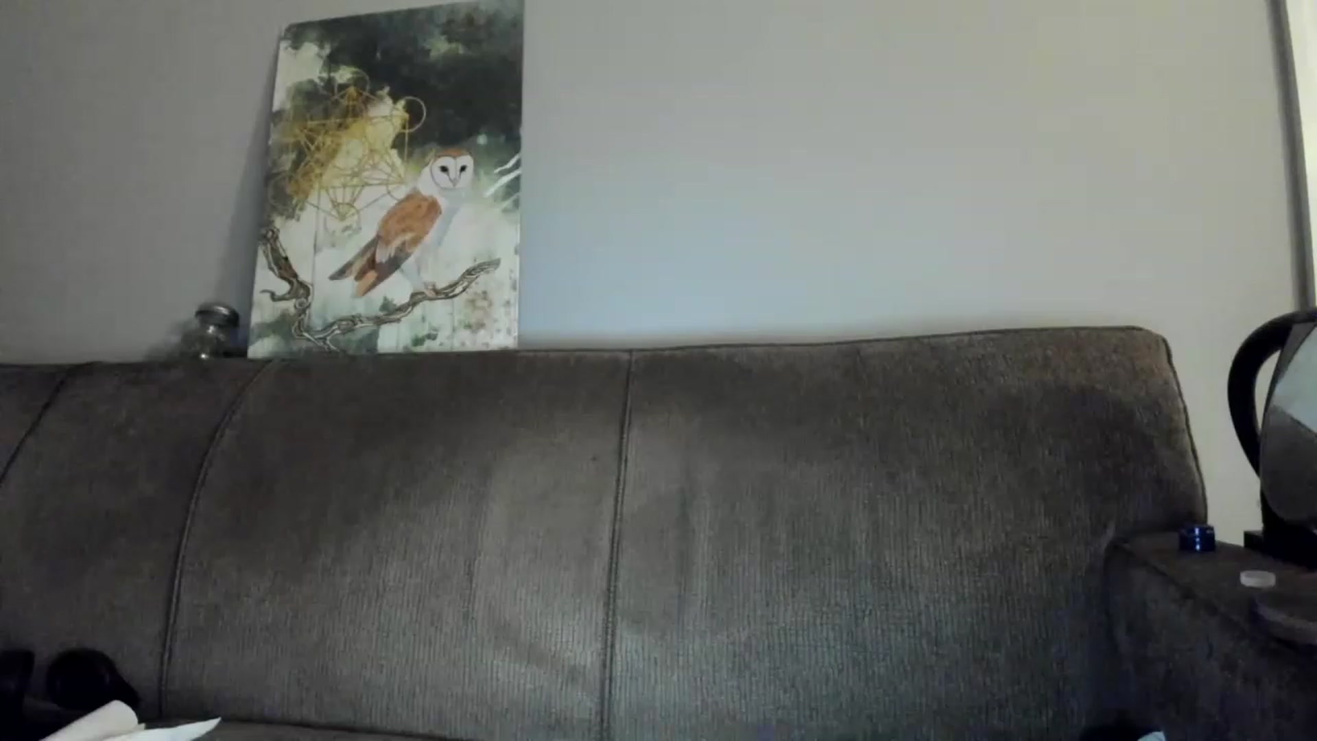Gallery image thumbnail from Laurel's myfreecams stream on, 12/29/2022, 07:52 image 12 of 20