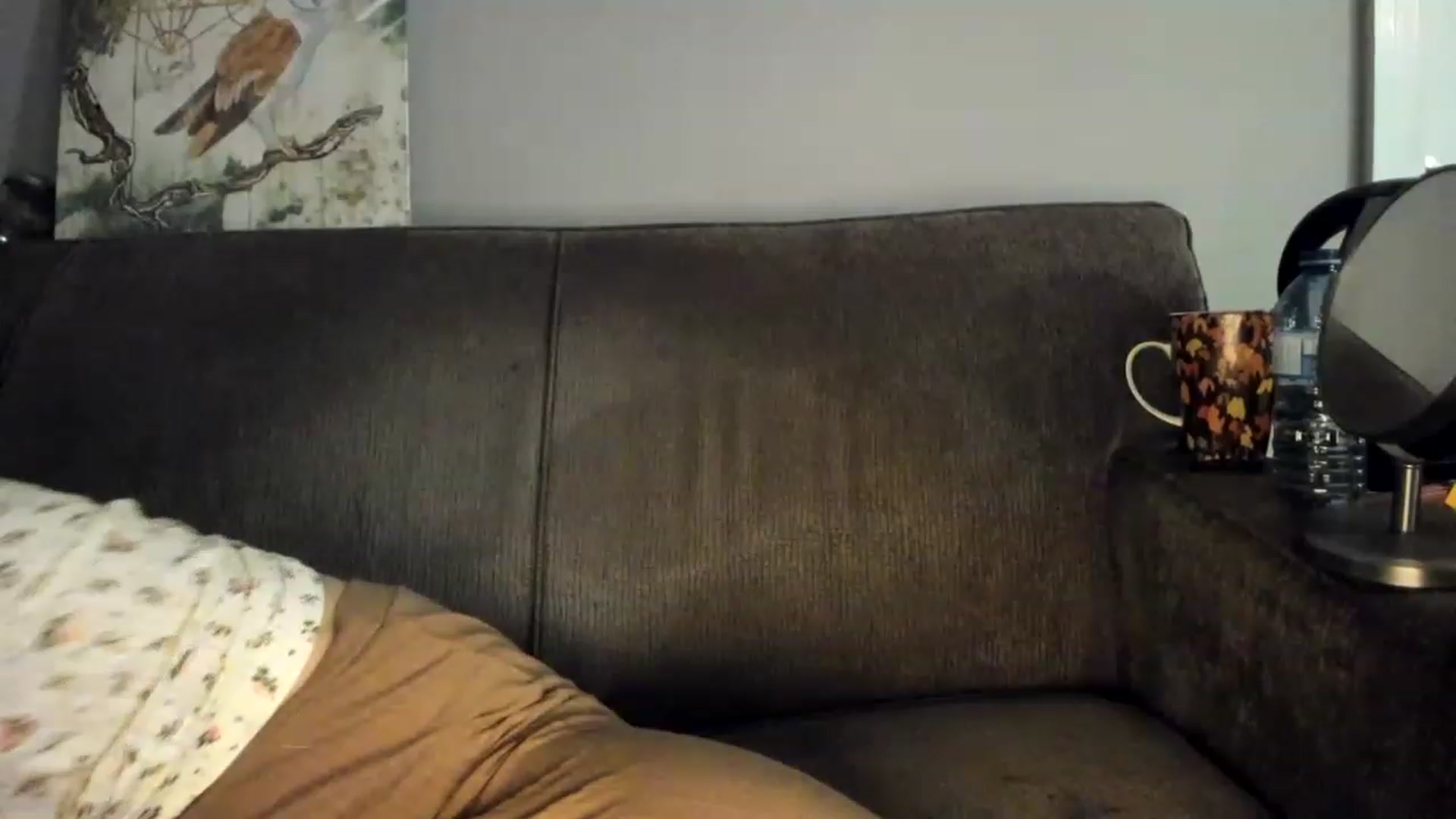Gallery image thumbnail from Laurel's myfreecams stream on, 12/29/2022, 08:43 image 16 of 20