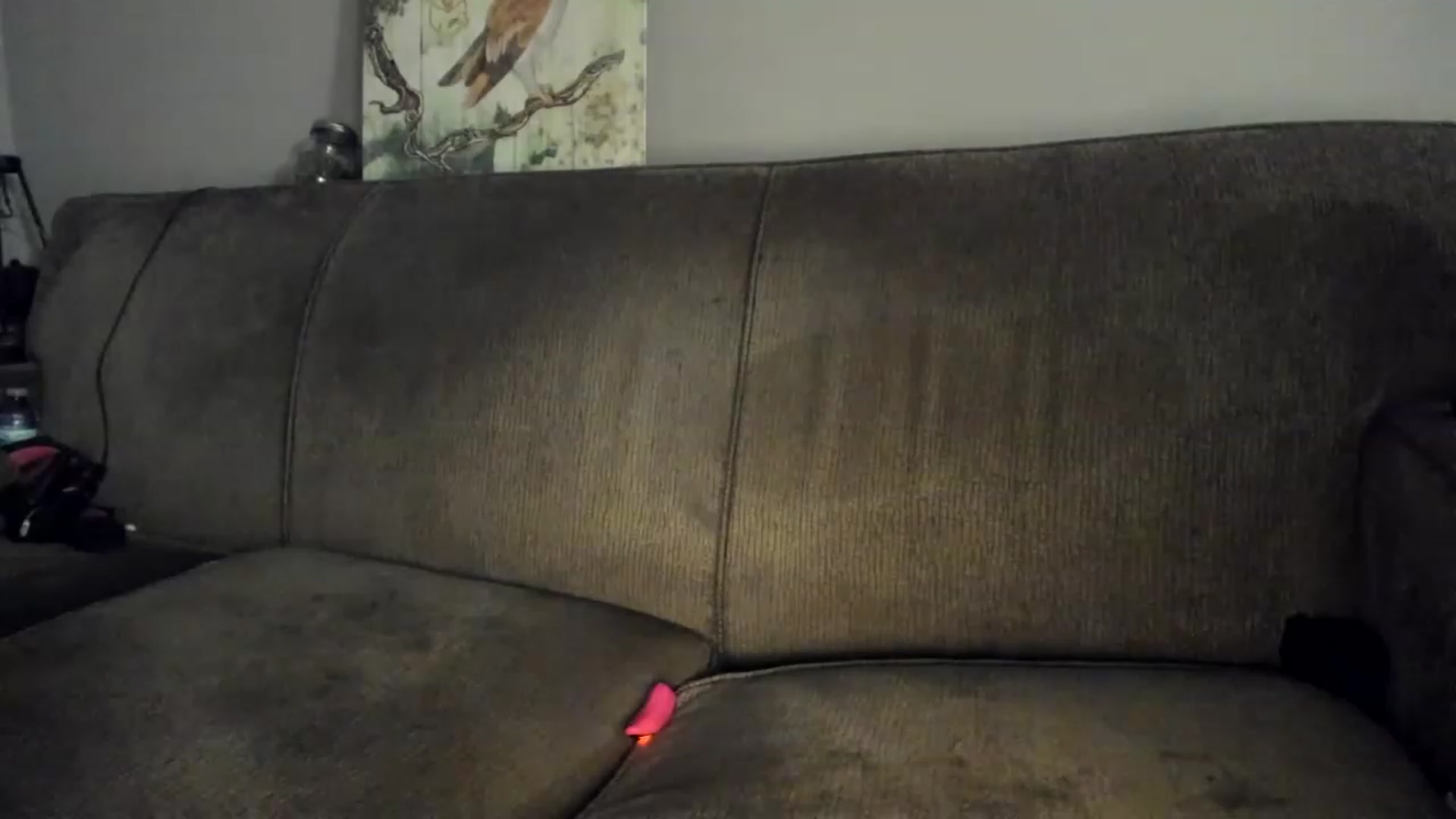 Gallery image thumbnail from Laurel's myfreecams stream on, 12/29/2022, 08:43 image 13 of 20