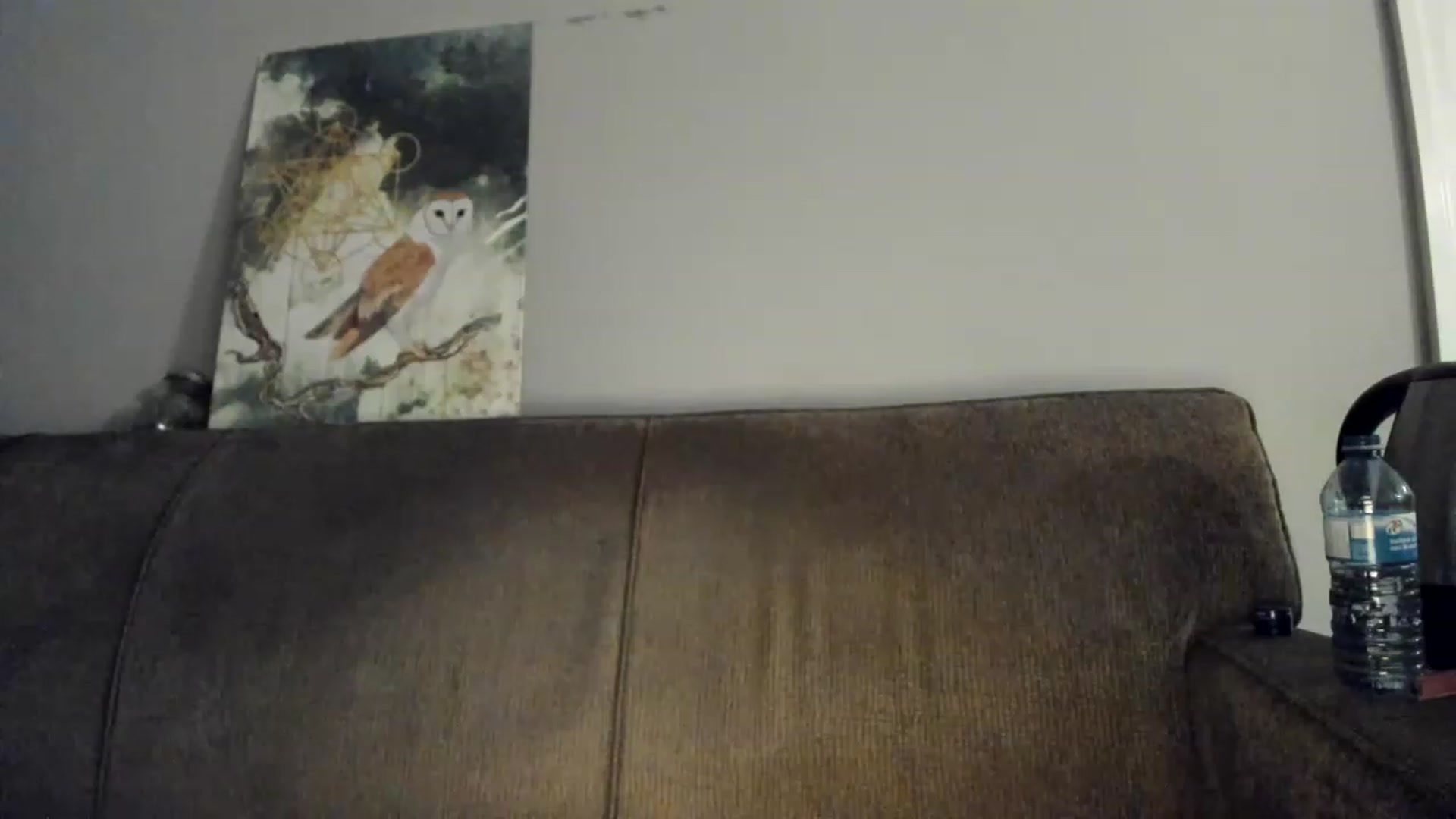 Gallery image thumbnail from Laurel's myfreecams stream on, 12/29/2022, 08:43 image 17 of 20
