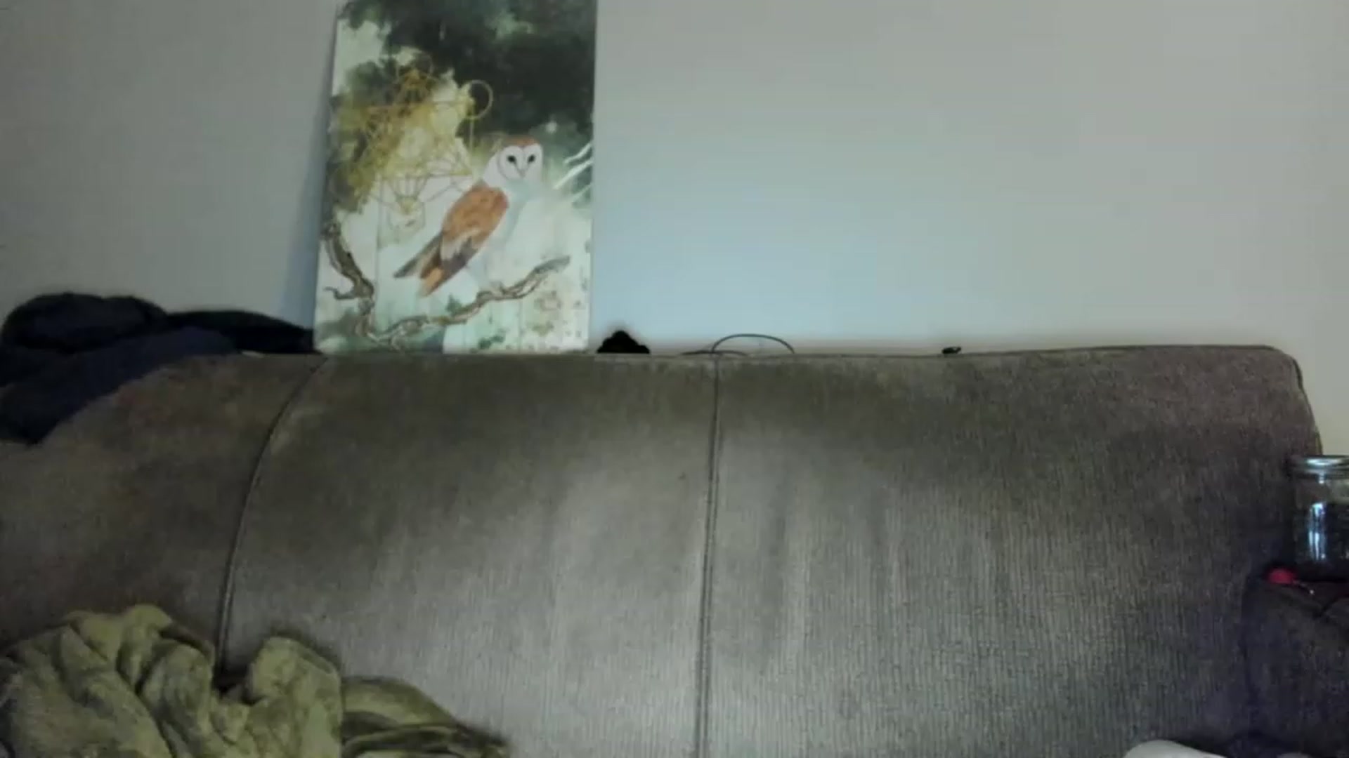 Gallery image thumbnail from Laurel's myfreecams stream on, 01/04/2023, 06:00 image 16 of 20