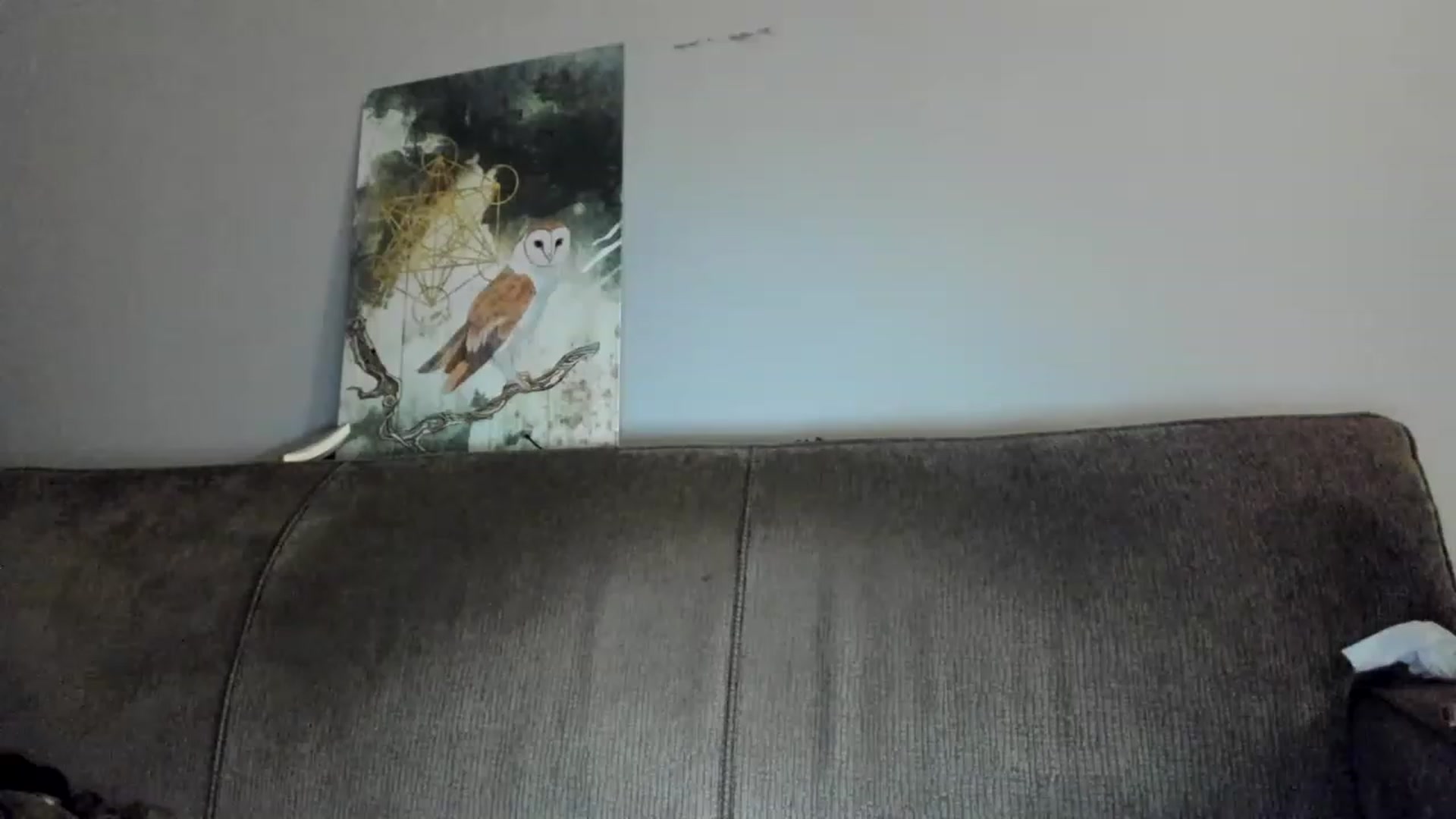 Gallery image thumbnail from Laurel's myfreecams stream on, 01/05/2023, 07:17 image 2 of 20
