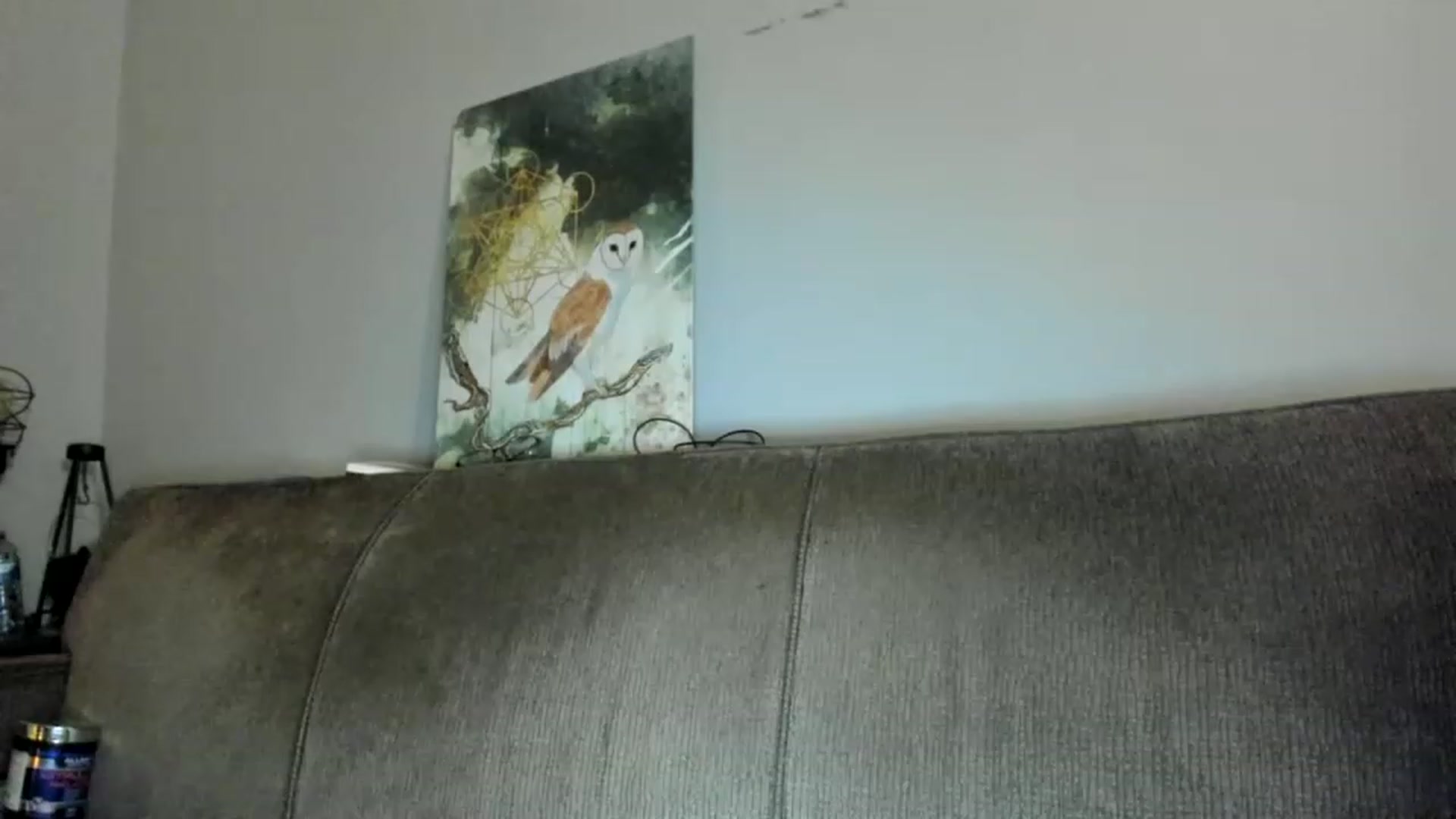 Gallery image thumbnail from Laurel's myfreecams stream on, 01/07/2023, 04:42 image 17 of 20