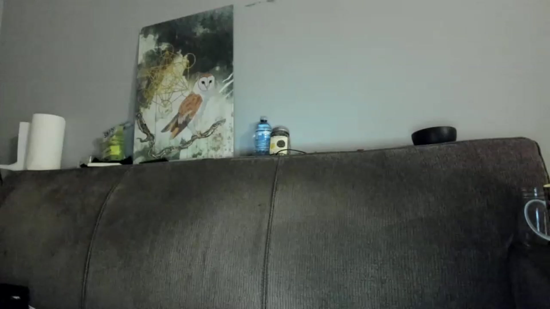 Gallery image thumbnail from Laurel's myfreecams stream on, 01/12/2023, 06:20 image 19 of 20