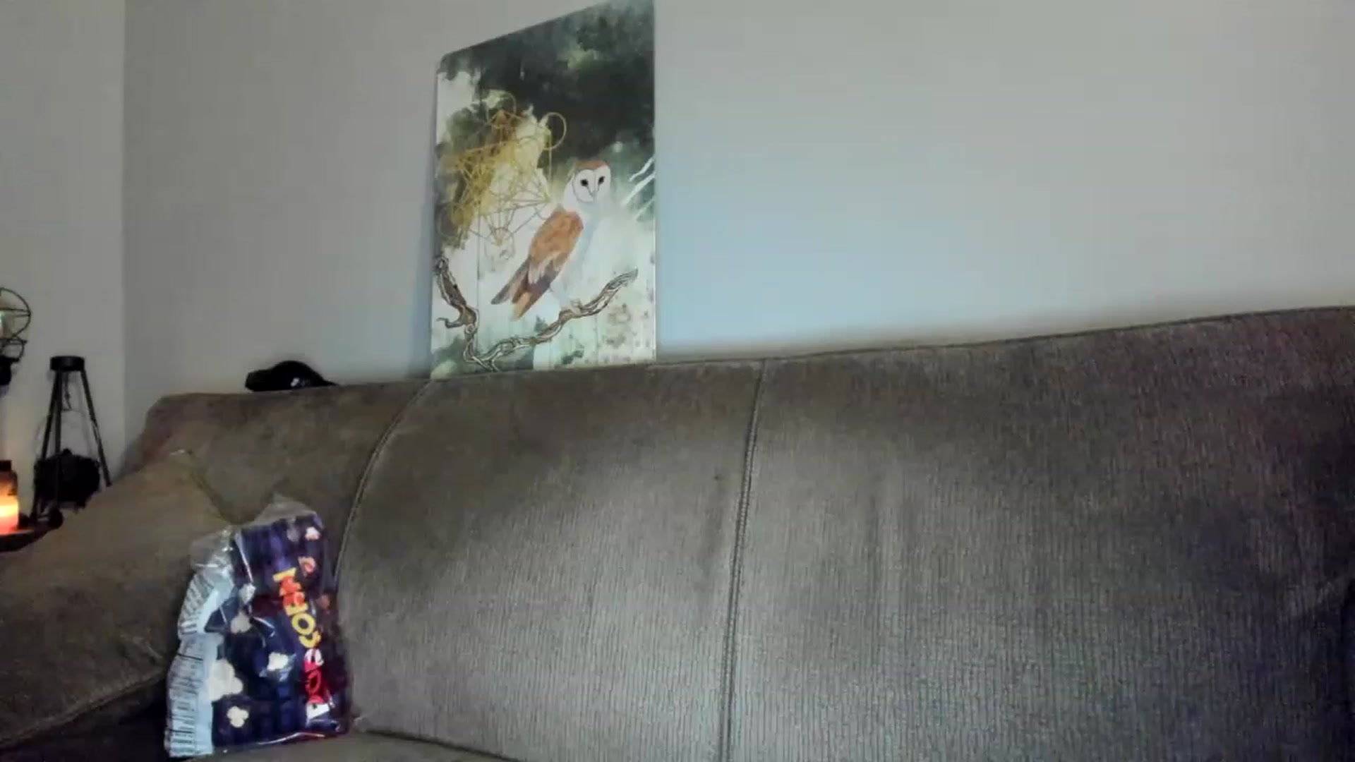 Gallery image thumbnail from Laurel's myfreecams stream on, 01/16/2023, 07:08 image 6 of 20