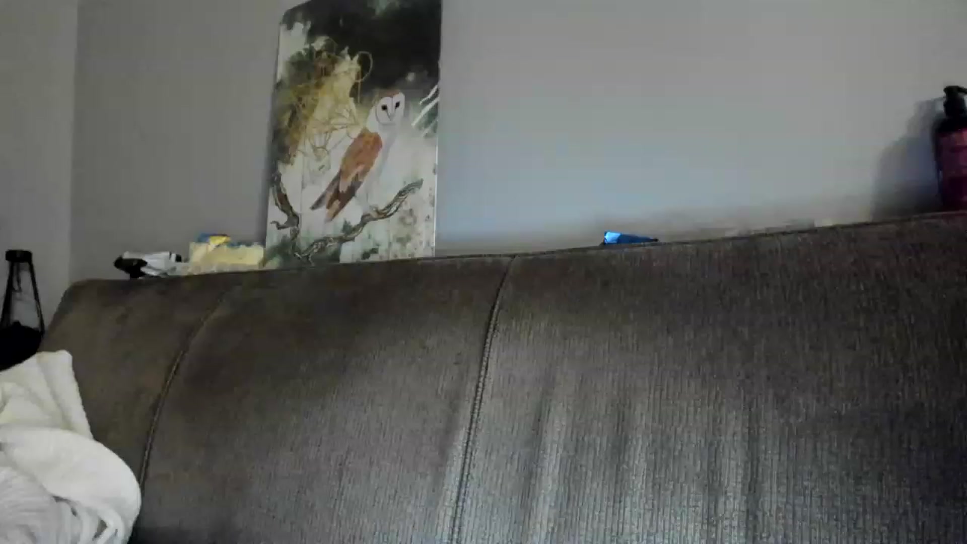 Gallery image thumbnail from Laurel's myfreecams stream on, 01/22/2023, 09:06 image 12 of 20