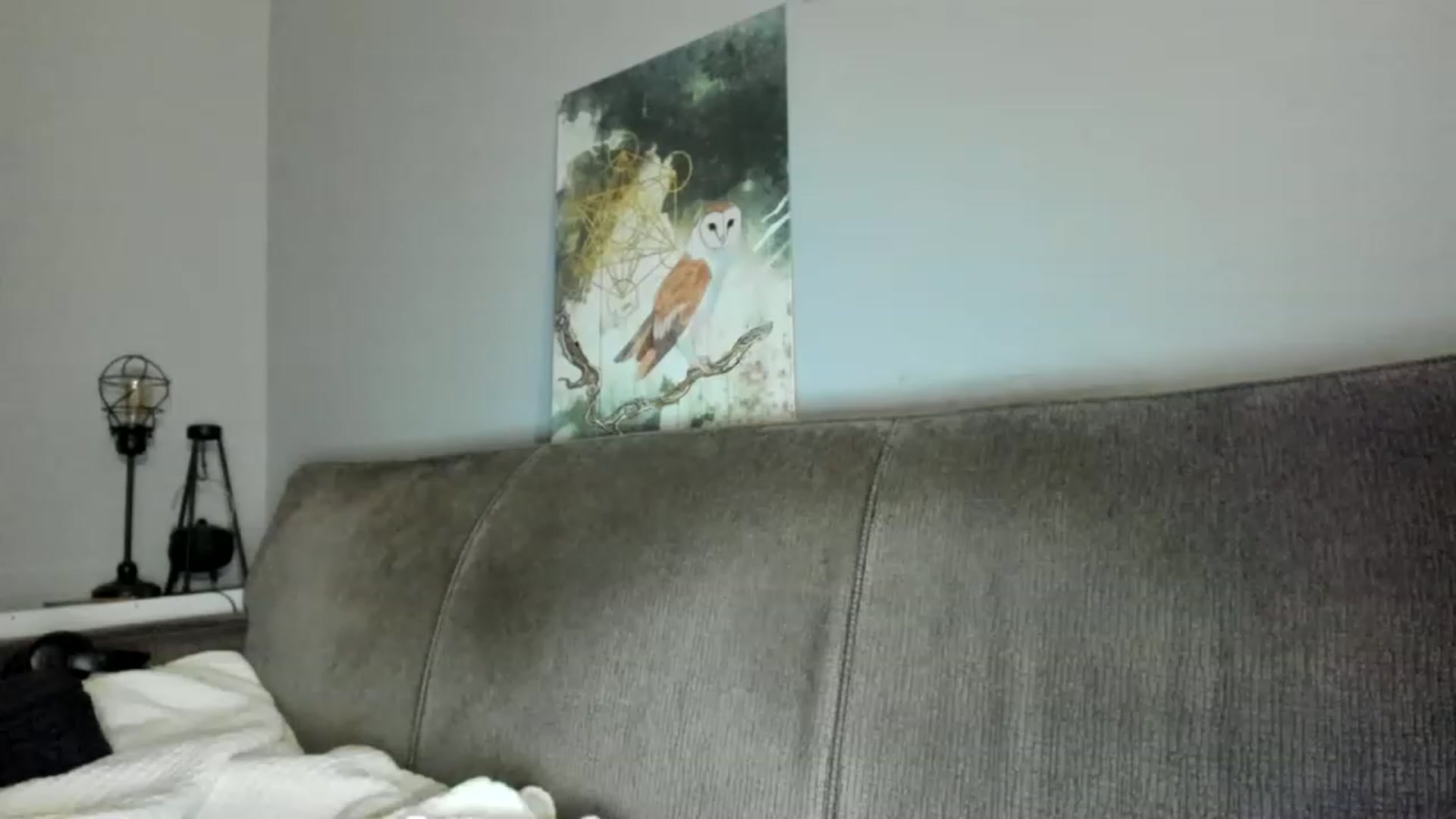 Gallery image thumbnail from Laurel's myfreecams stream on, 02/17/2023, 03:16 image 15 of 20