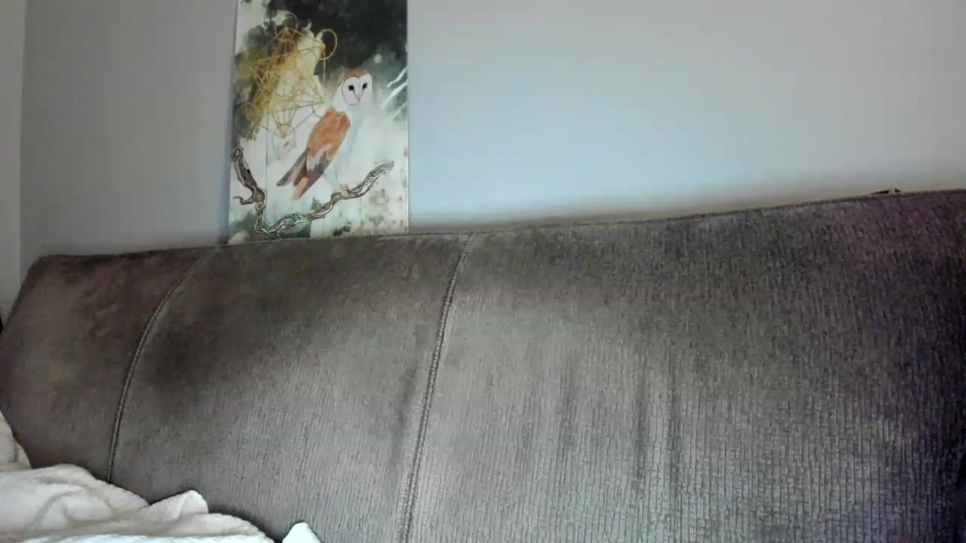 Gallery image thumbnail from Laurel's myfreecams stream on, 02/17/2023, 04:26 image 14 of 20