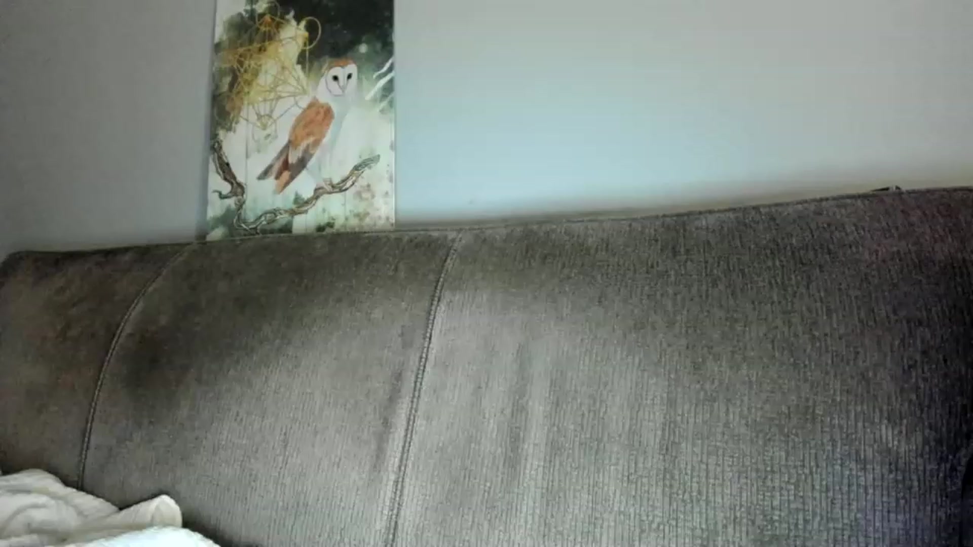 Gallery image thumbnail from Laurel's myfreecams stream on, 02/17/2023, 04:26 image 1 of 20