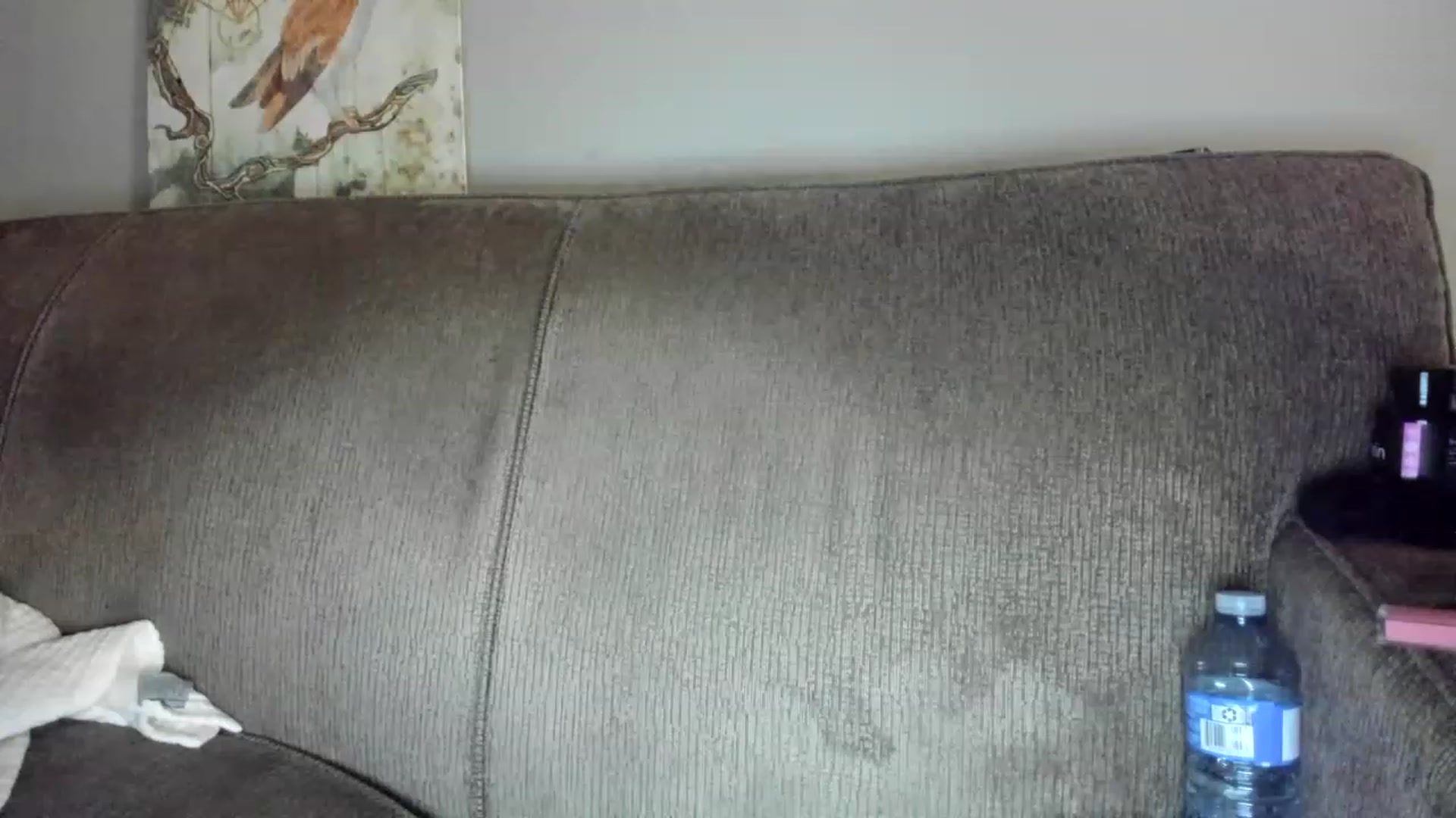 Gallery image thumbnail from Laurel's myfreecams stream on, 02/17/2023, 06:28 image 12 of 20