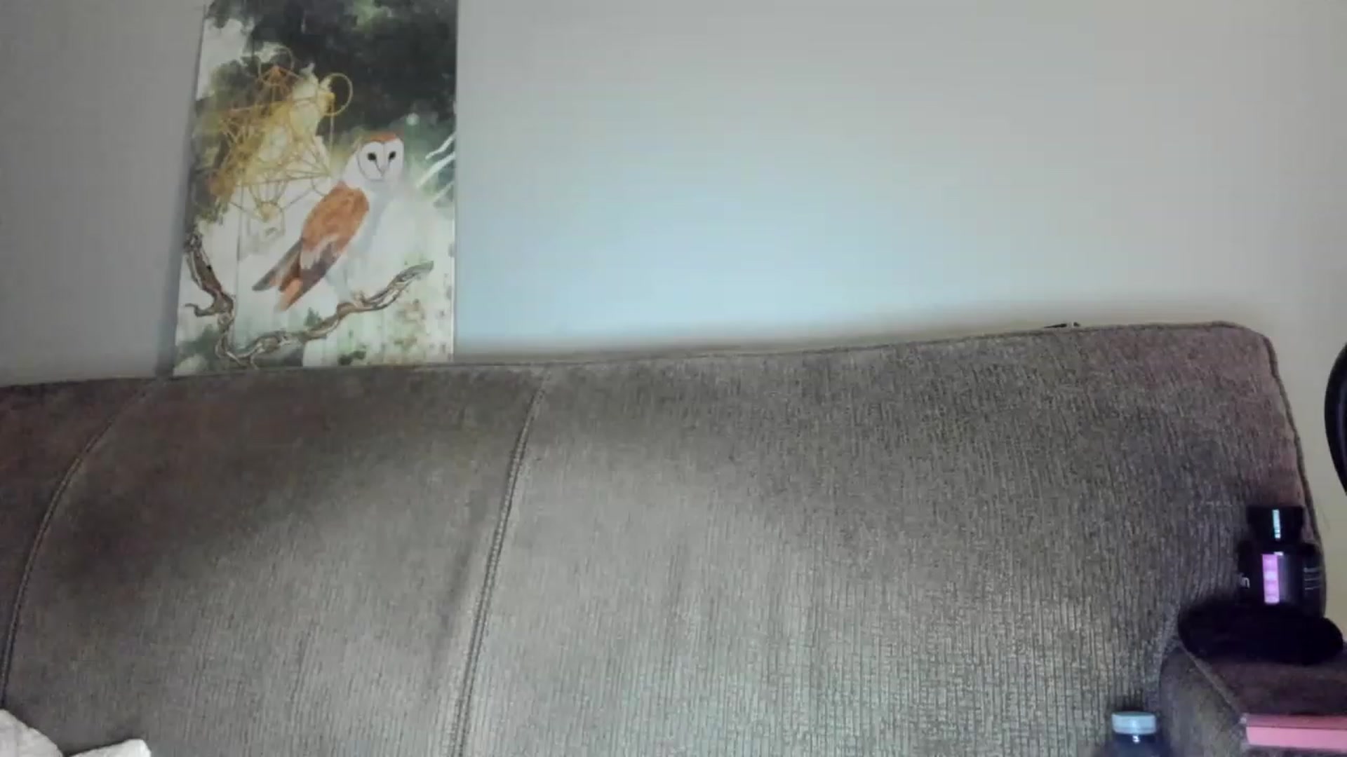 Gallery image thumbnail from Laurel's myfreecams stream on, 02/17/2023, 06:28 image 13 of 20