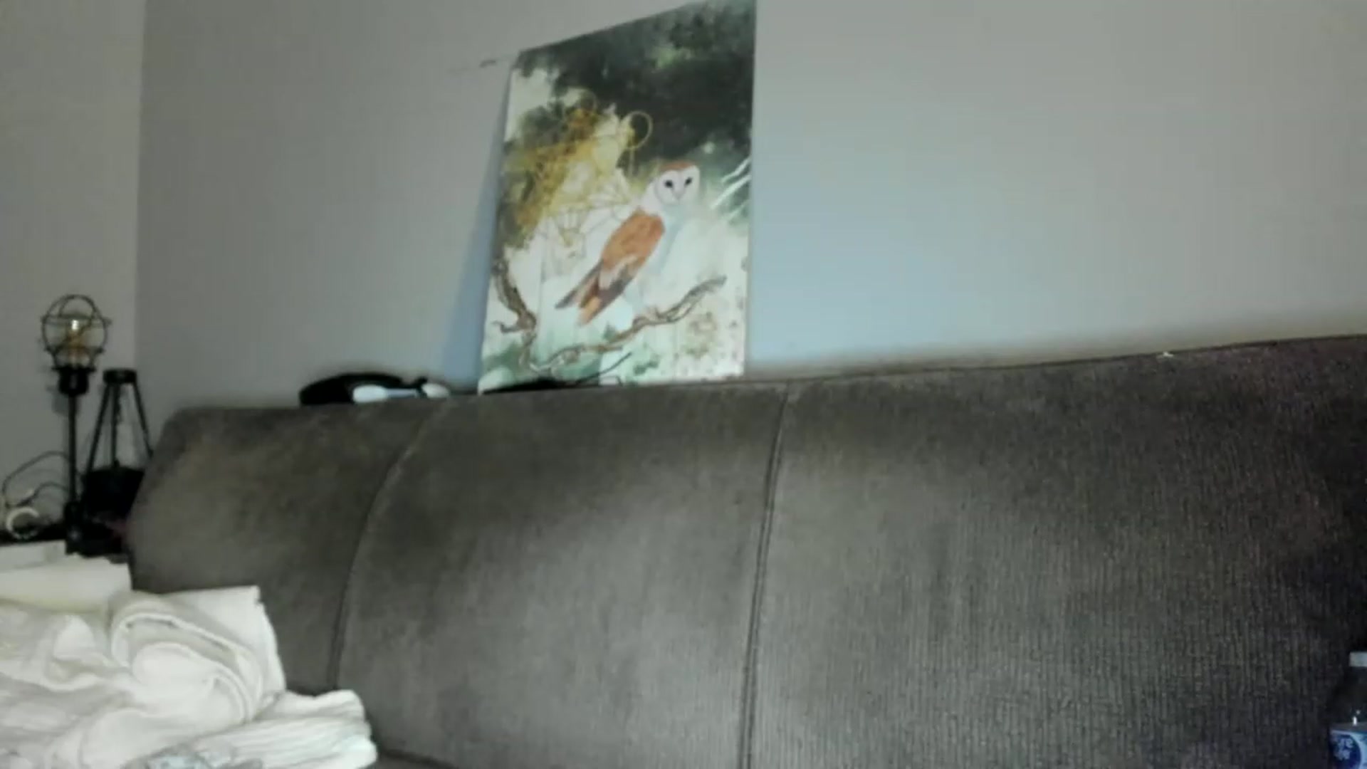 Gallery image thumbnail from Laurel's myfreecams stream on, 03/20/2023, 02:46 image 12 of 20
